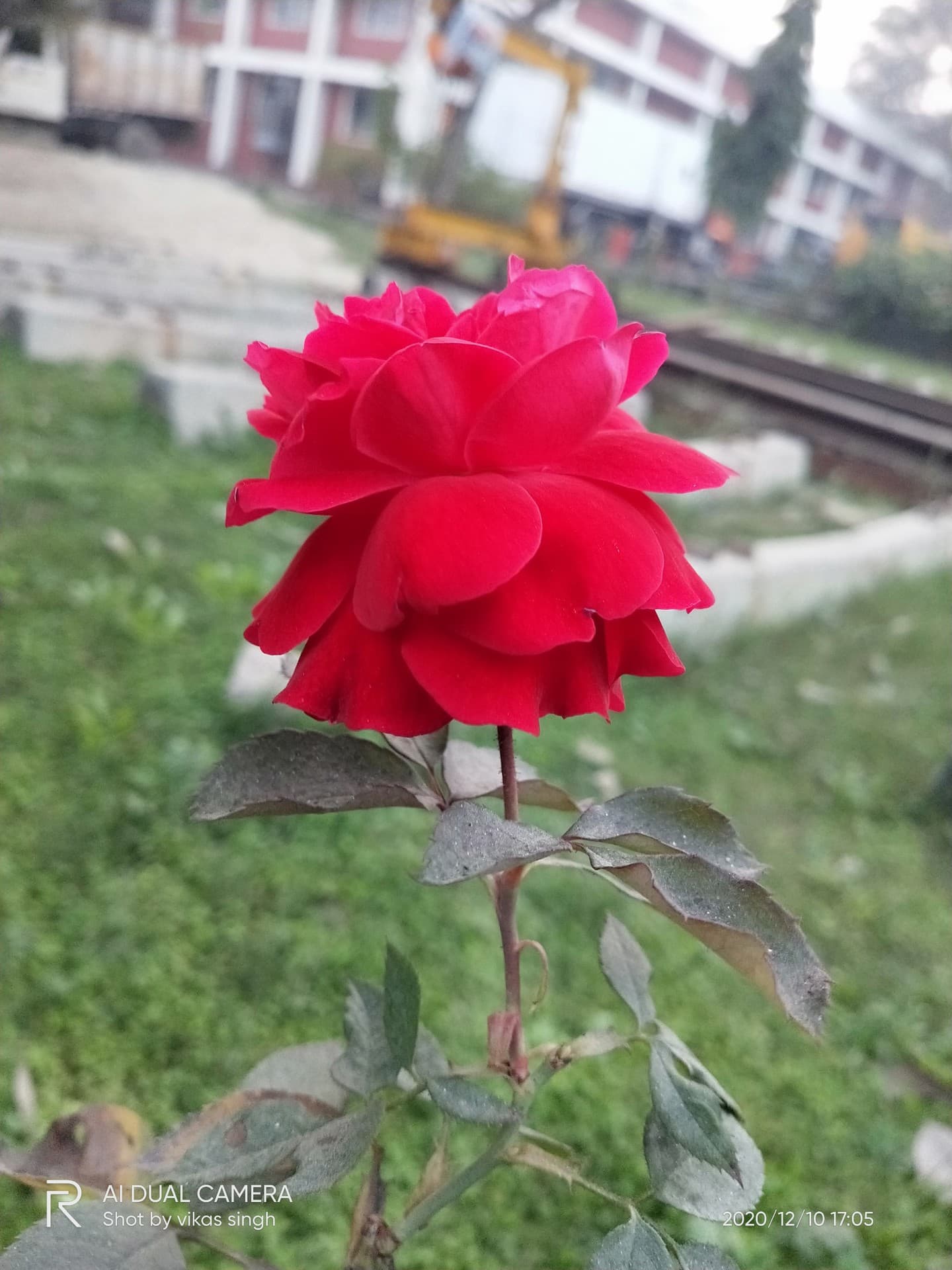 Nature