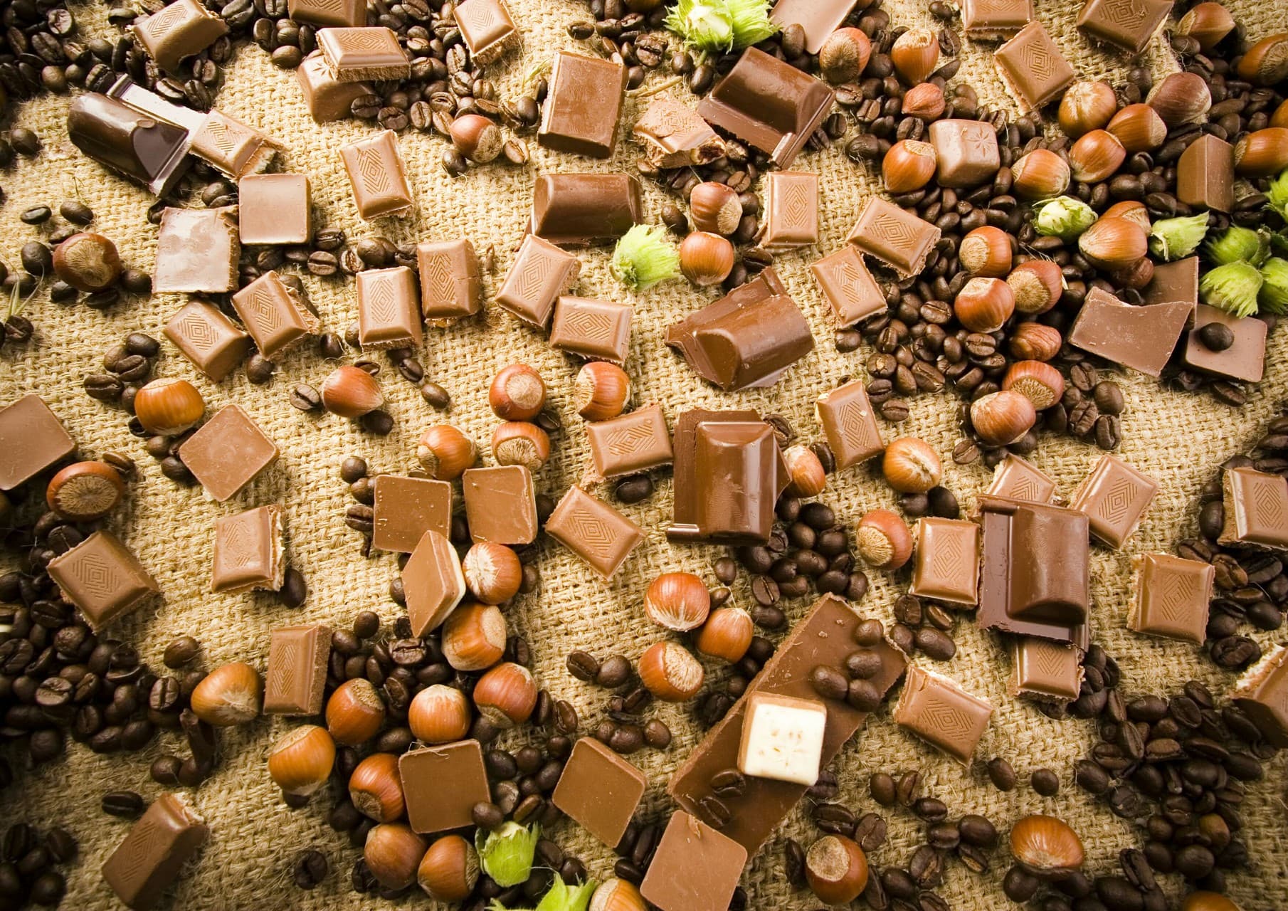 chocolate