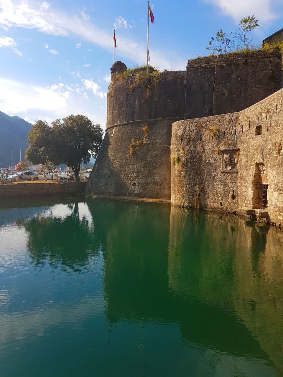 kotor