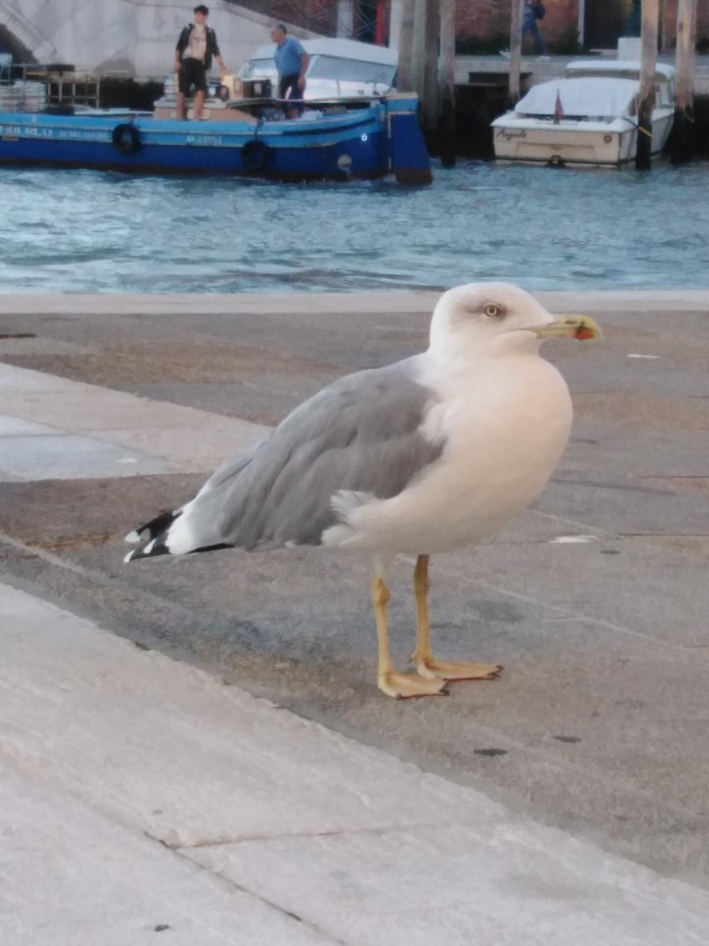 Venice