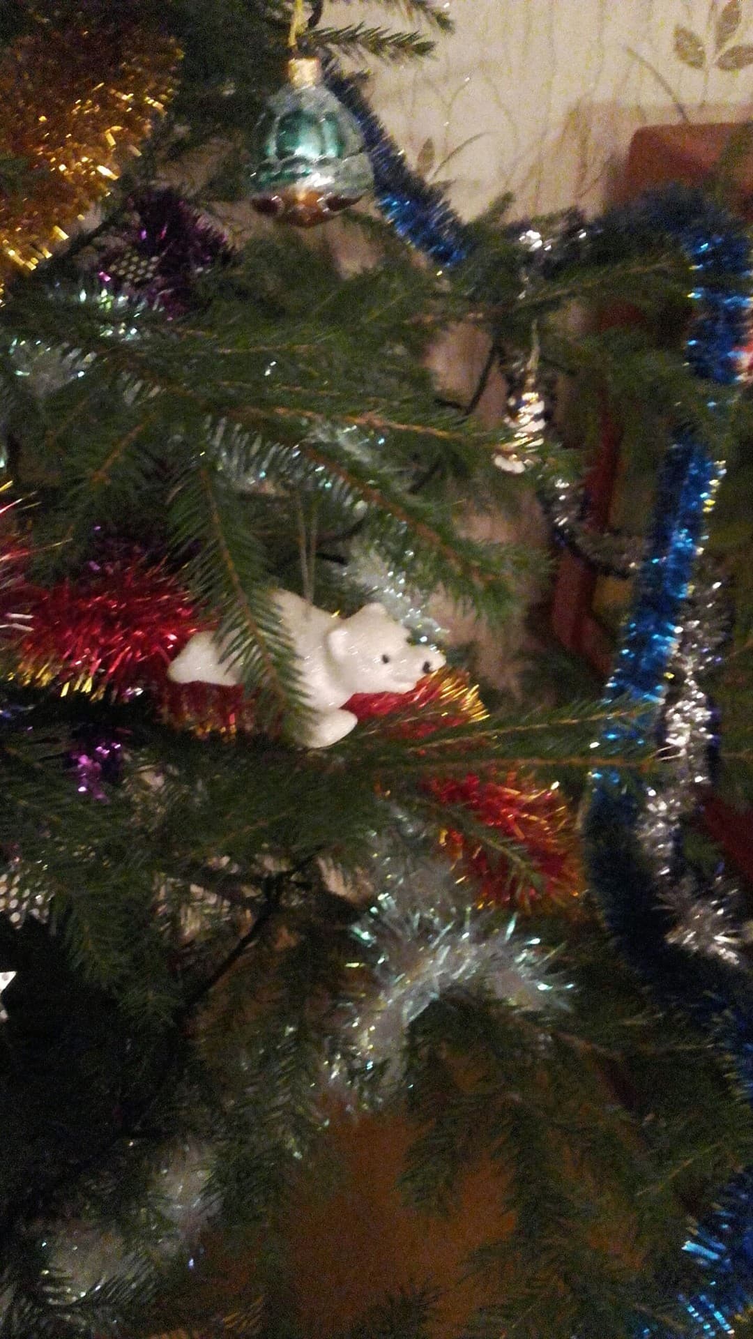 Polar bear