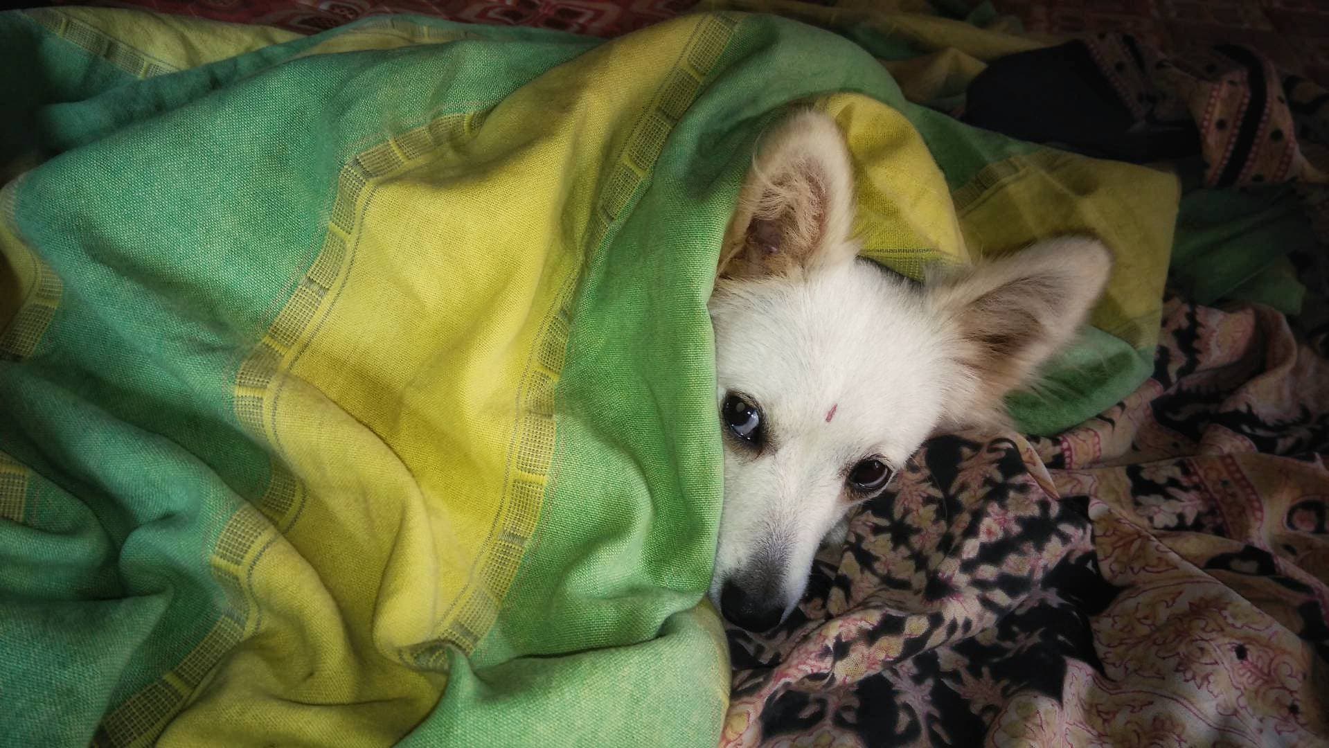Sleepy