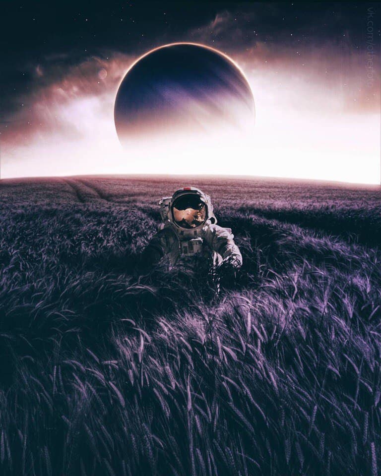cosmos