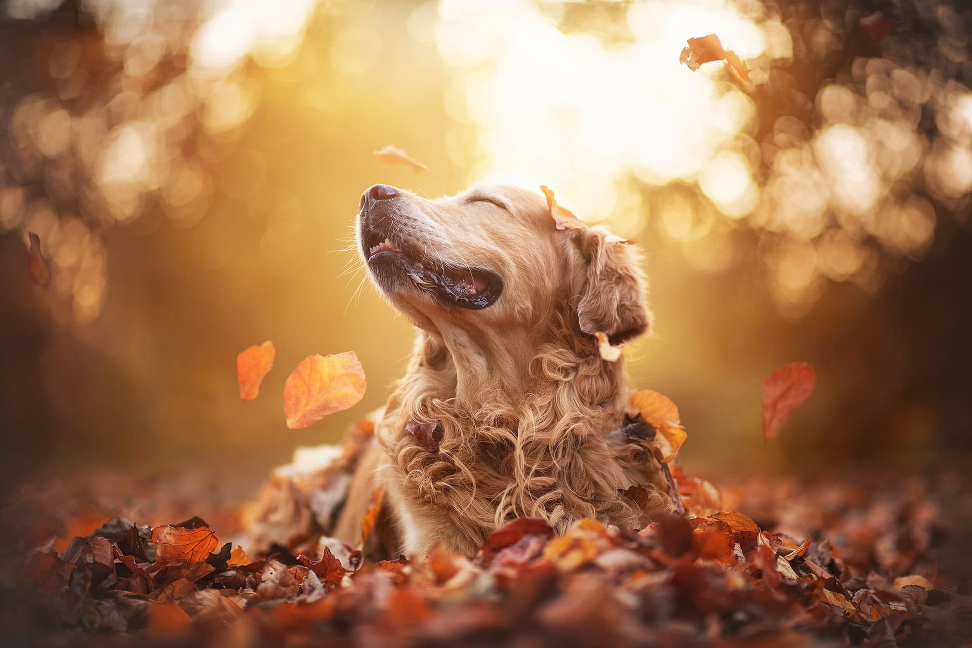 start every day with a smile
by Anne Geier