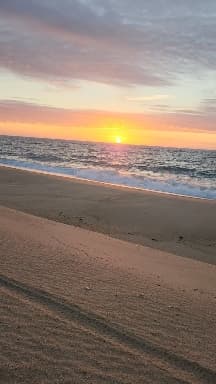 mtk