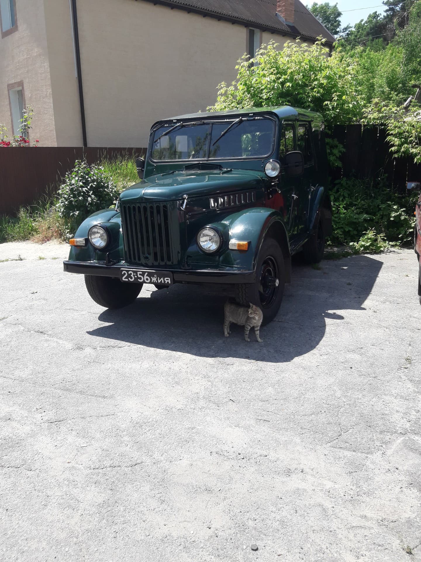 машина