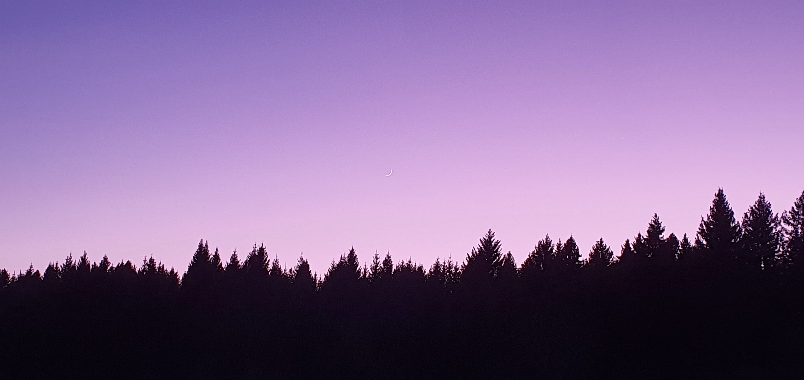 violet sunset