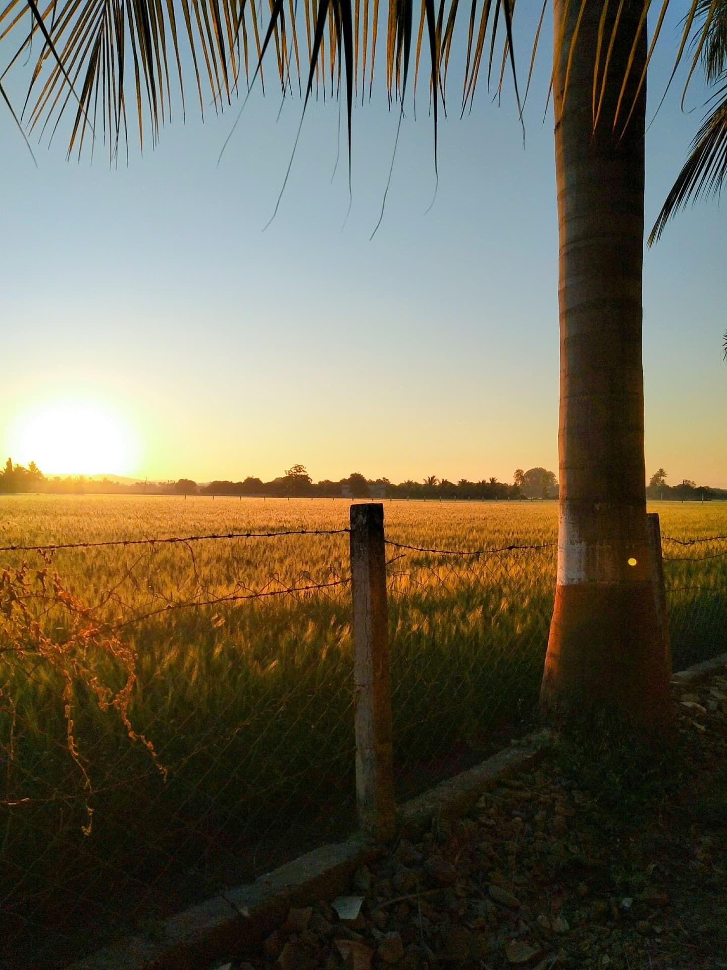 sunrise