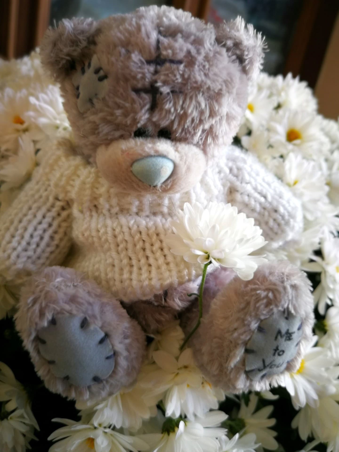 Teddybär