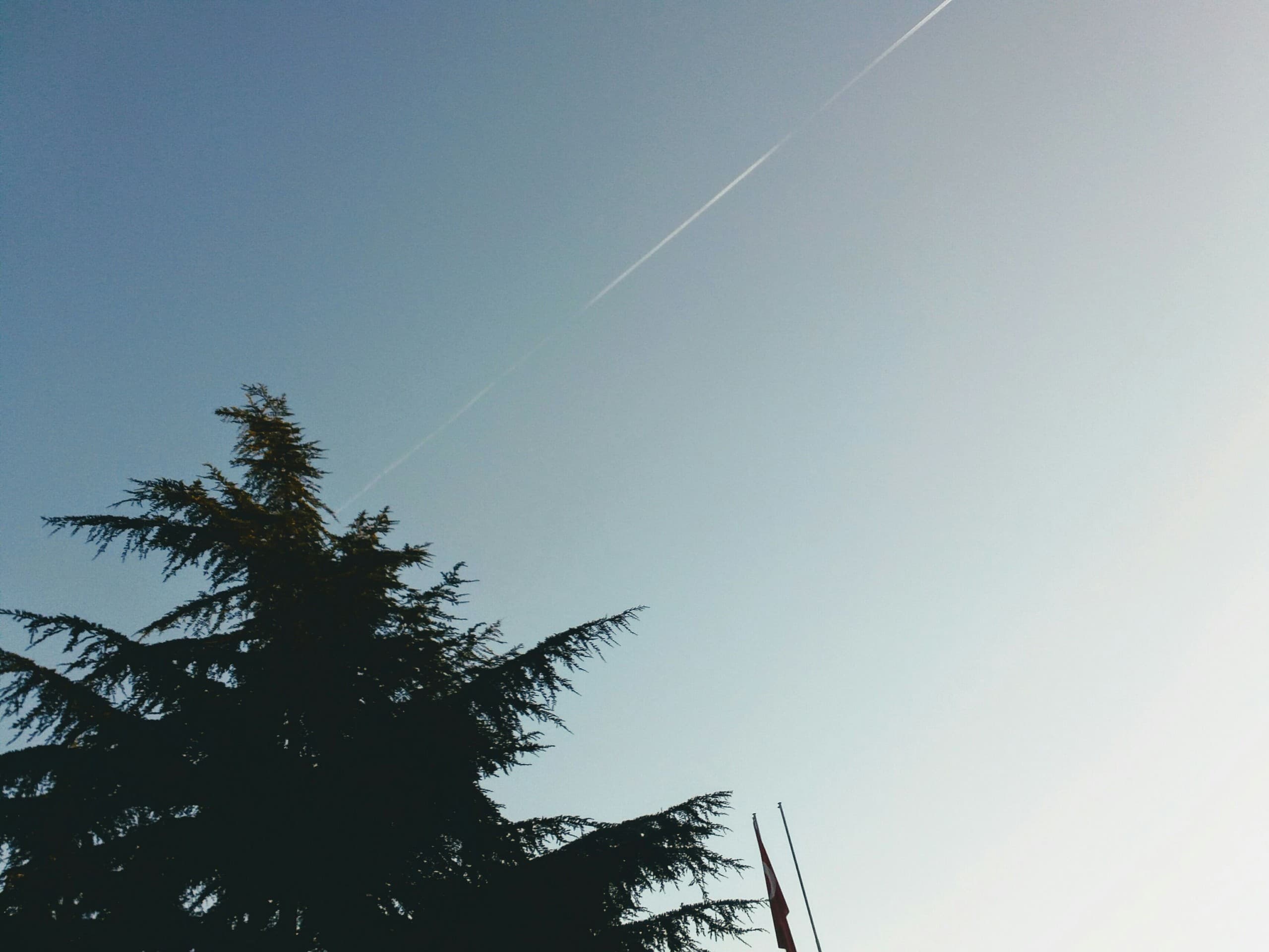 freedom
