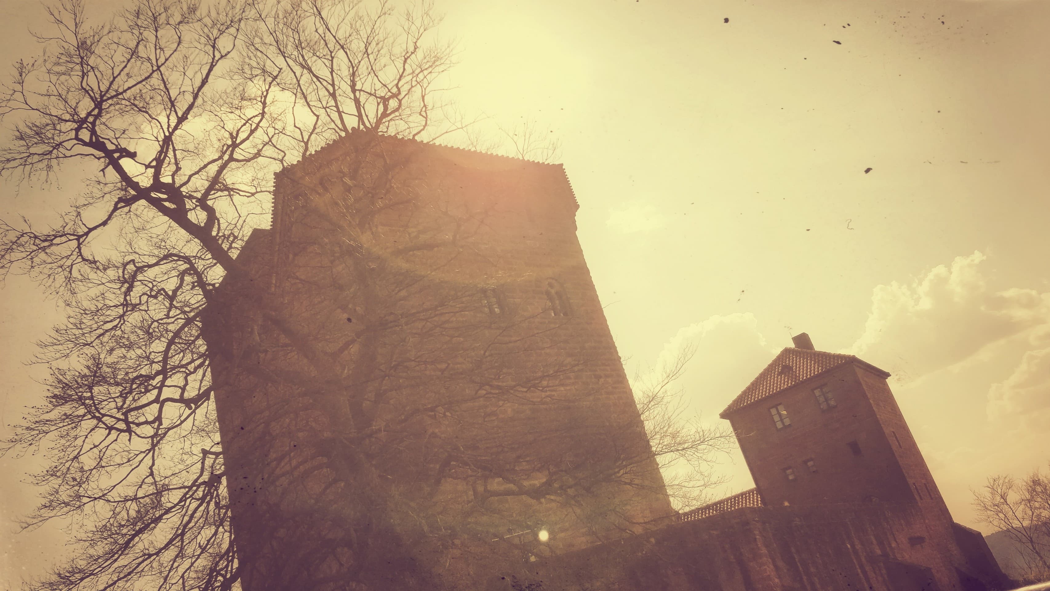 Burg Trifels