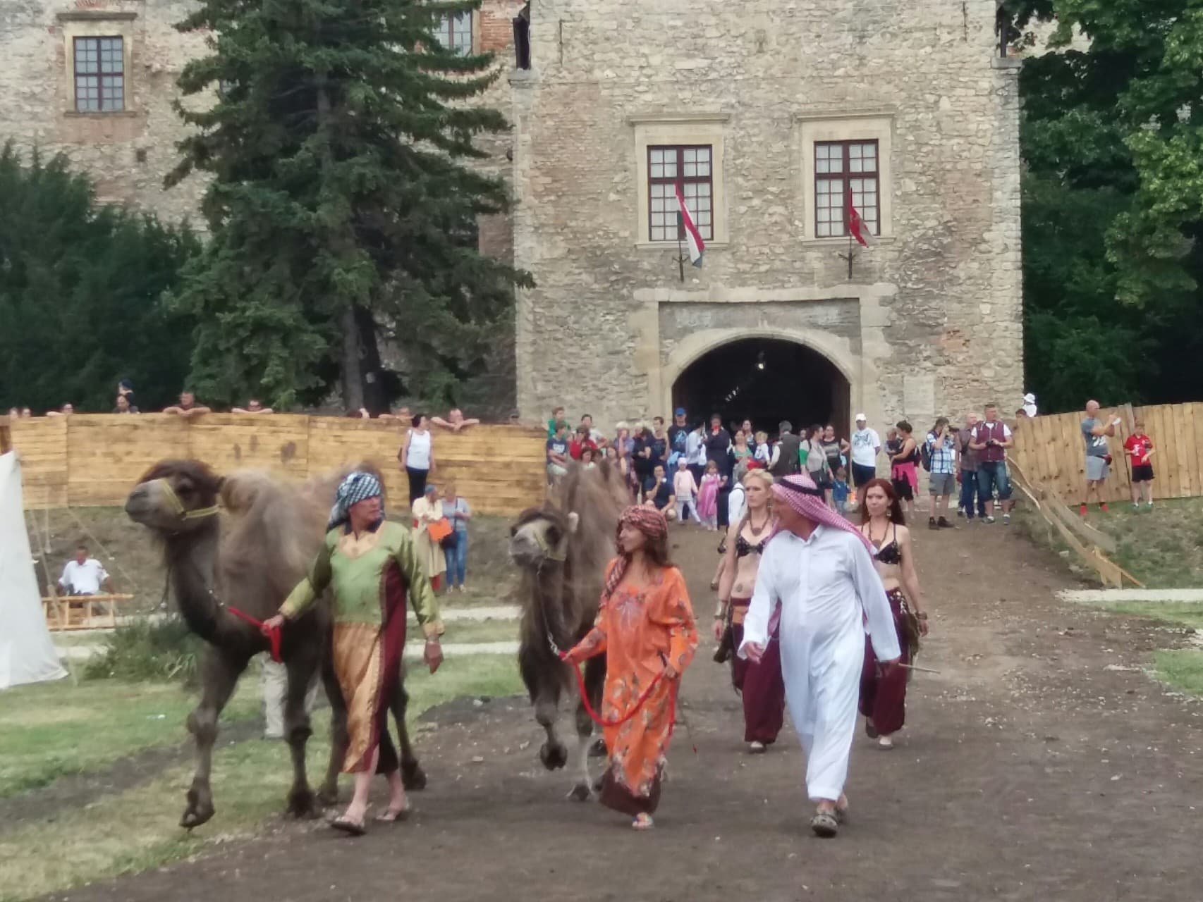Diadal Napja - Várpalota