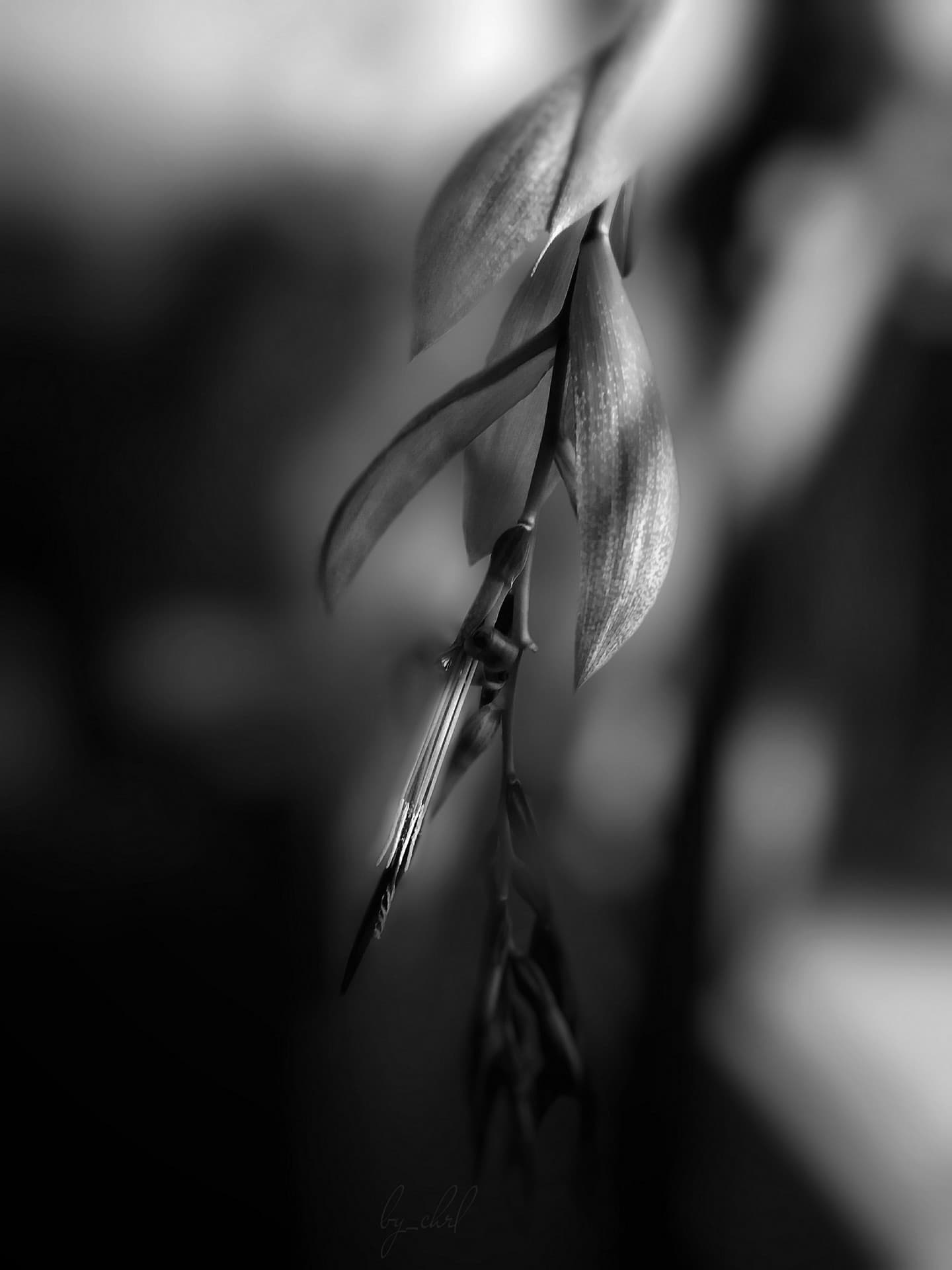 □■