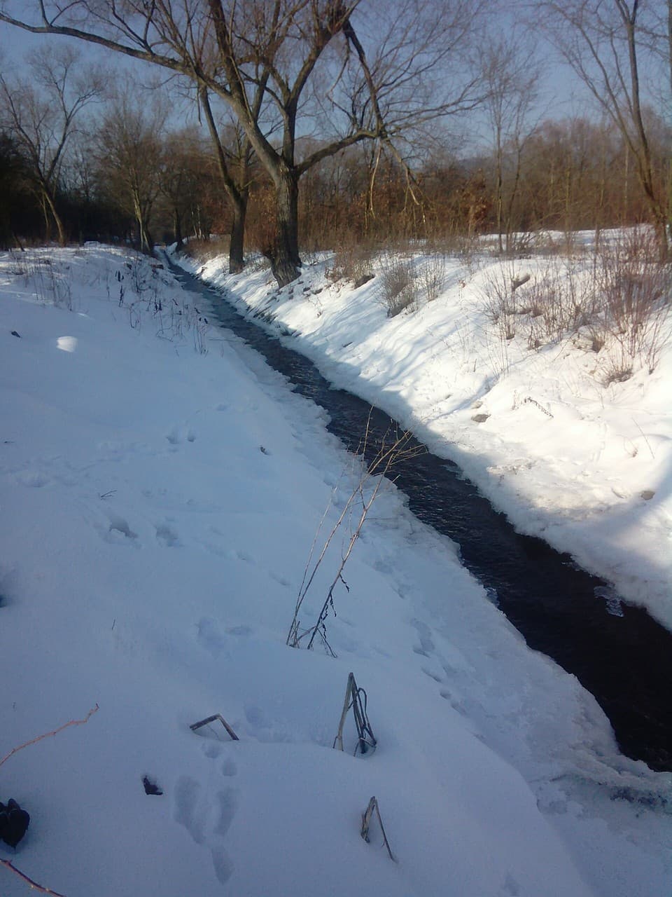 Water