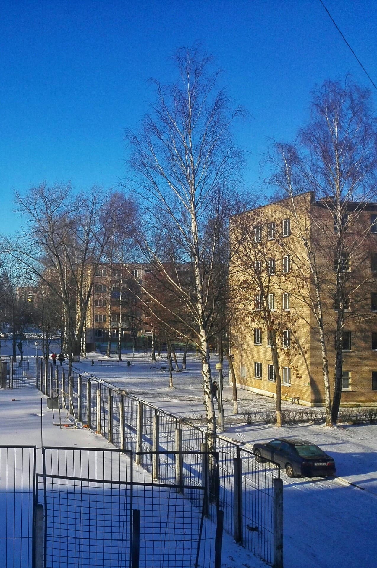 мороз и солнце