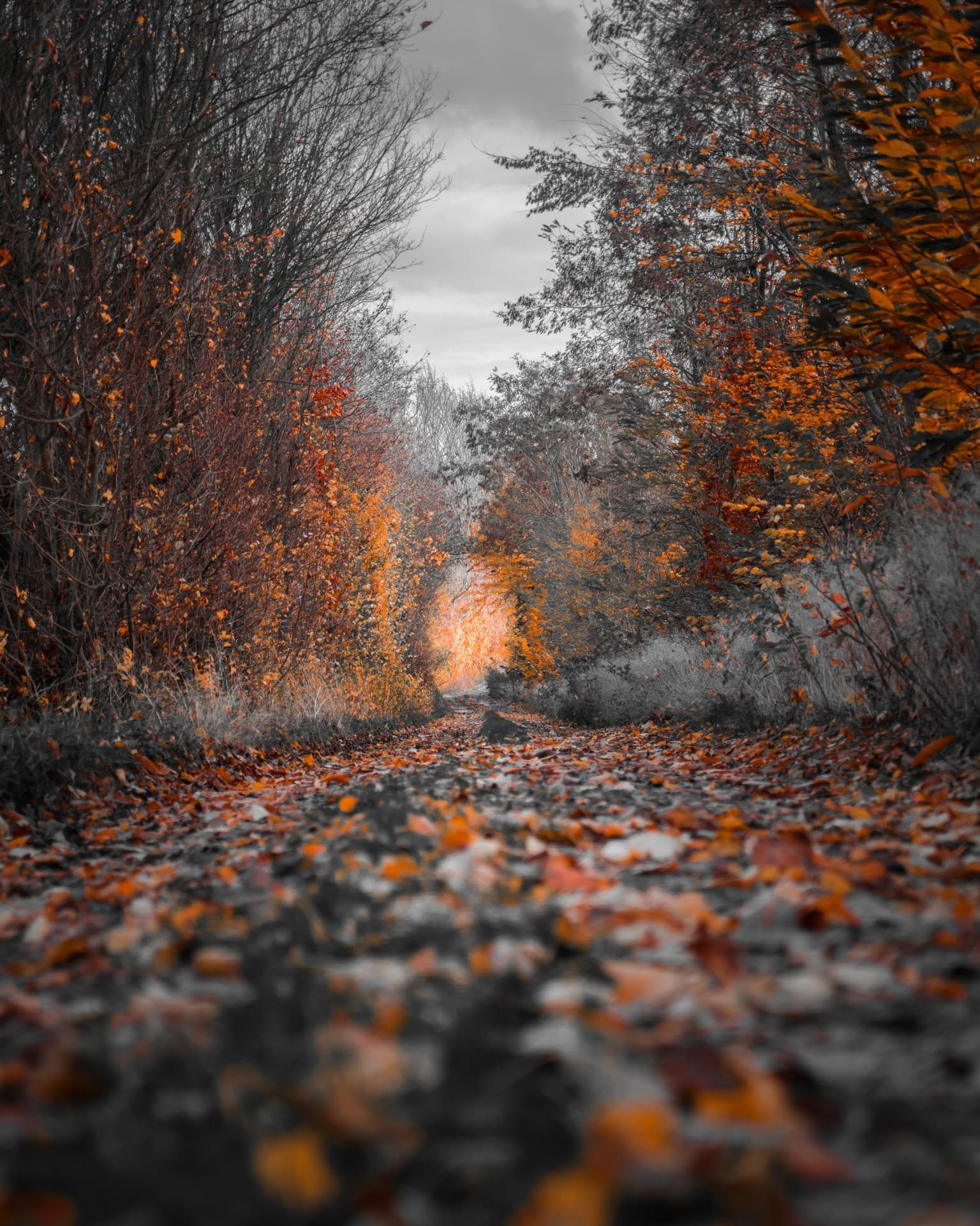 path