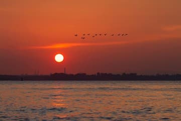 sunset....