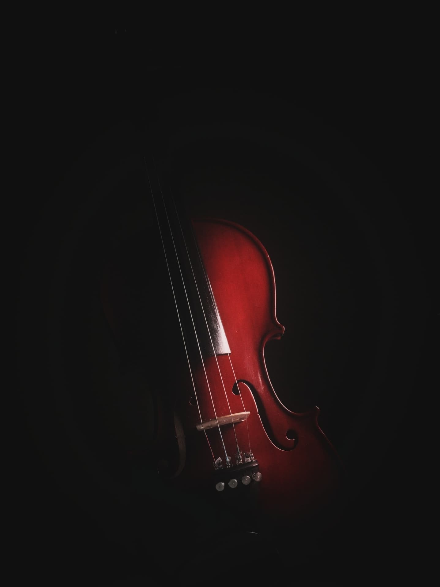 Violin pic taken by me...