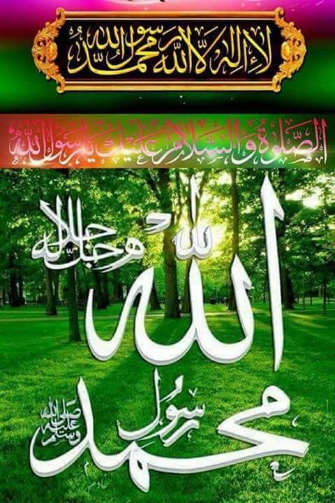Allah❤