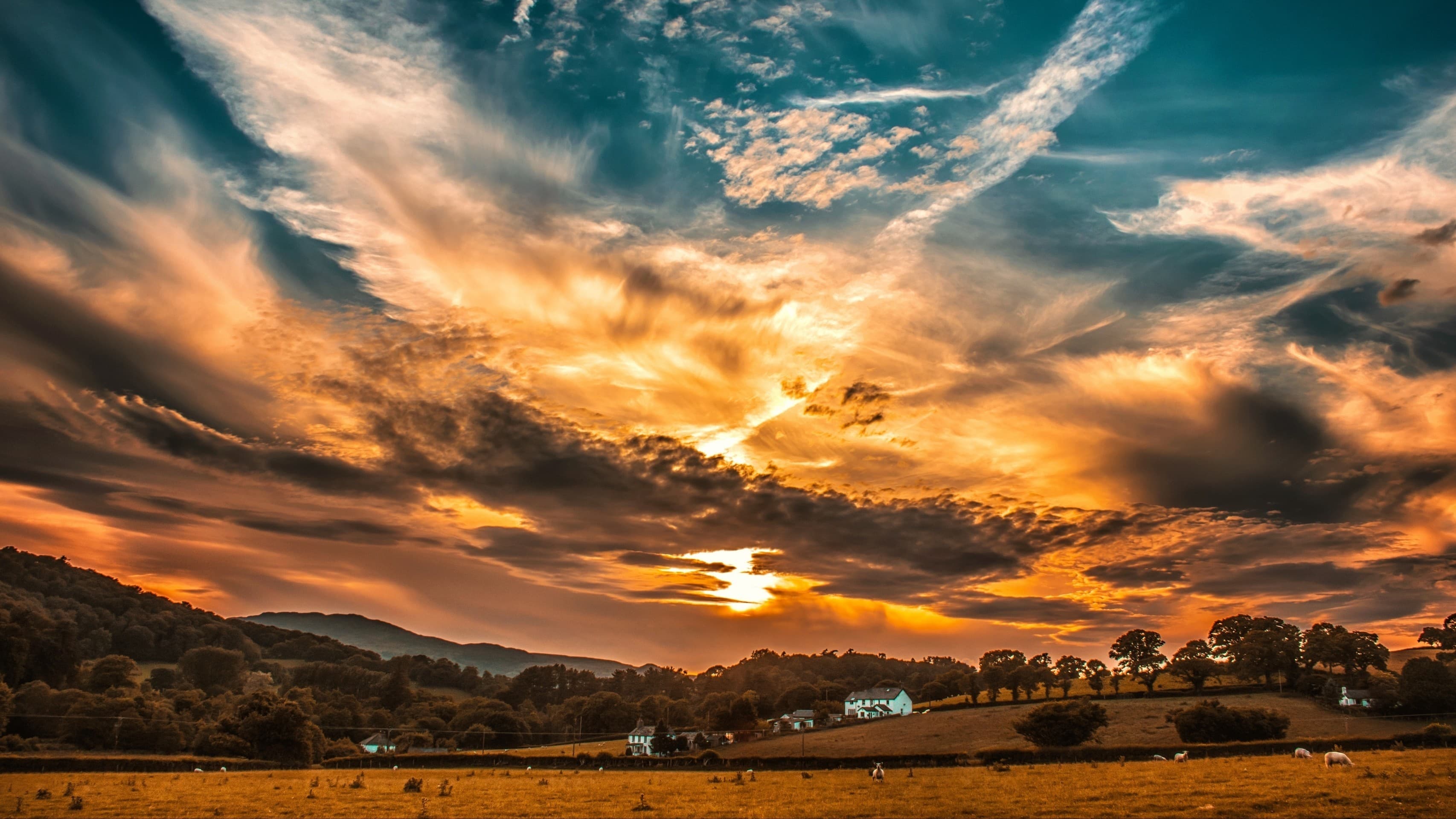Beautiful Landscape