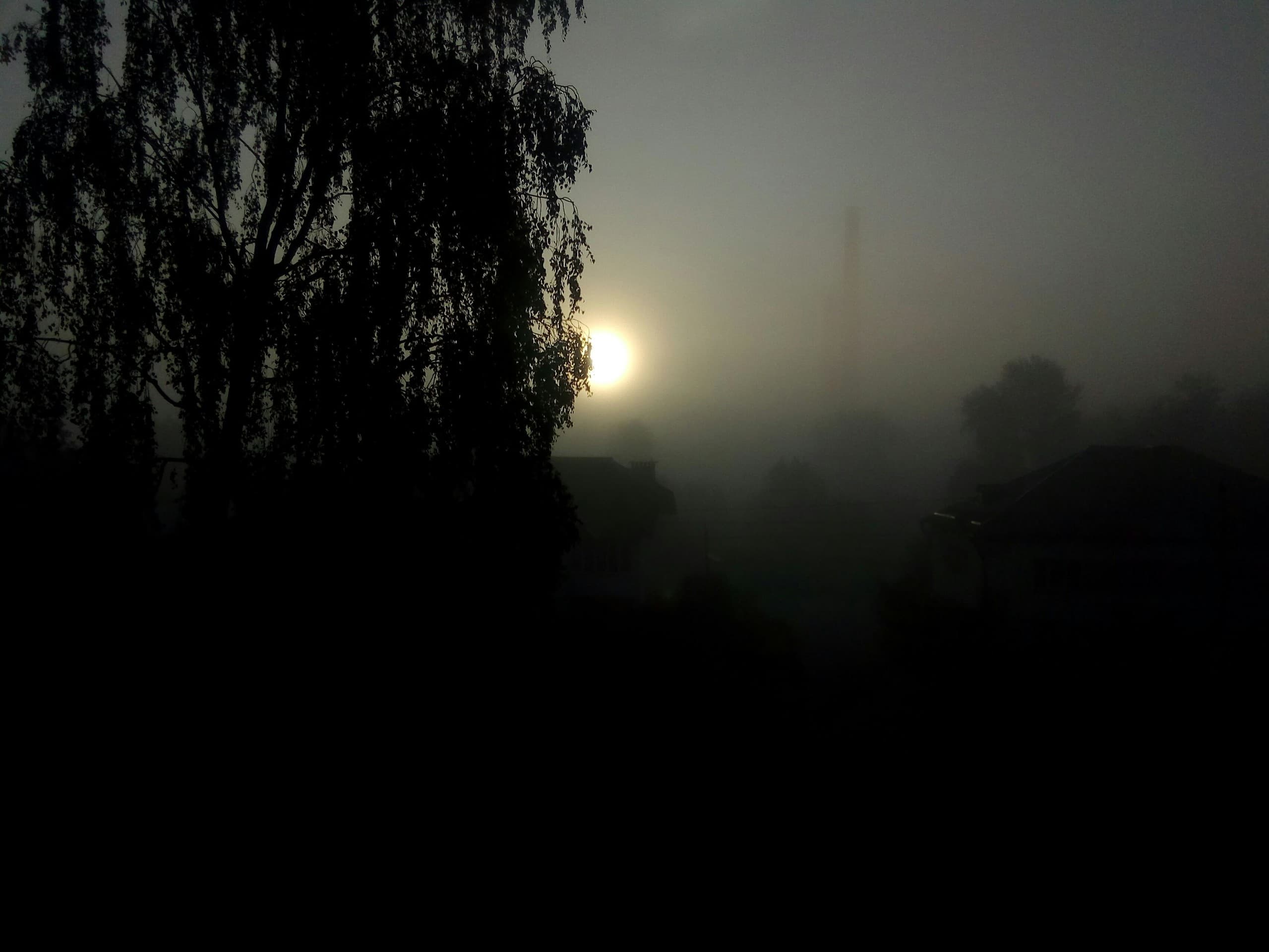 misty morning 