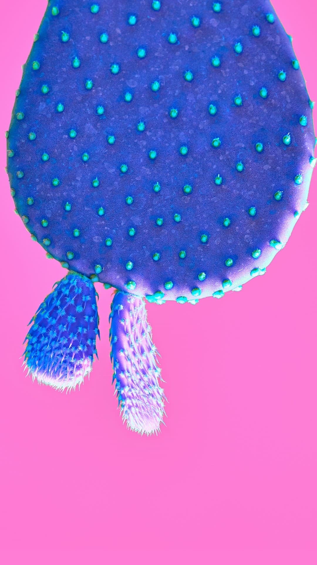 sn