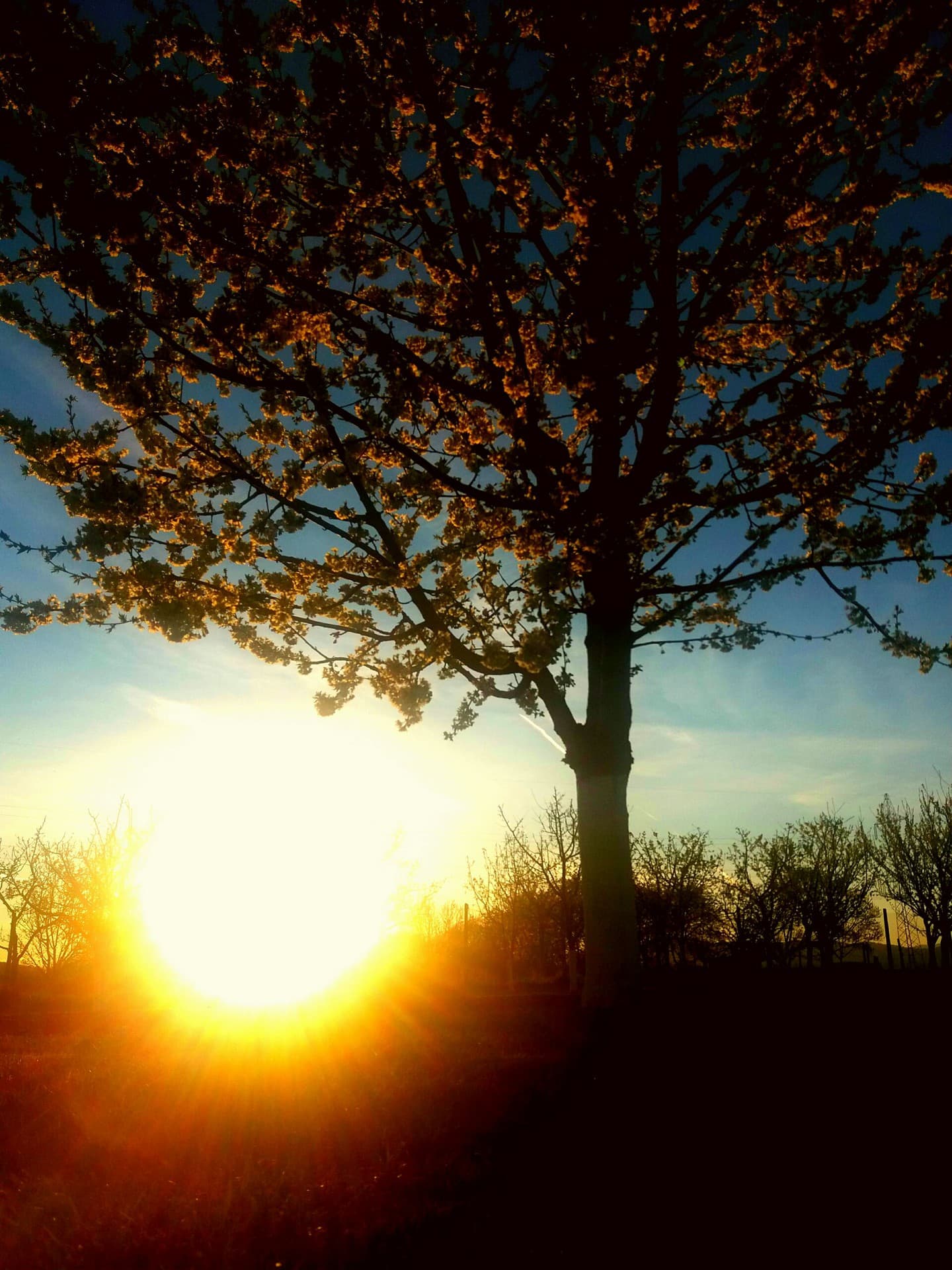 spring time