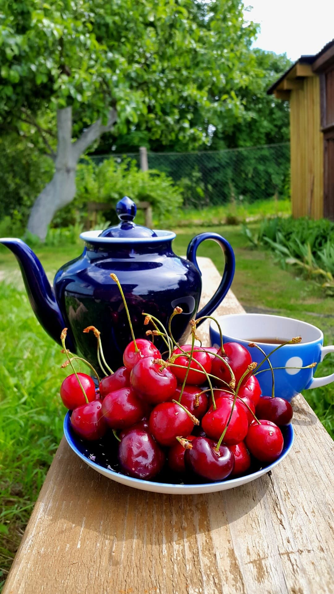 tea time