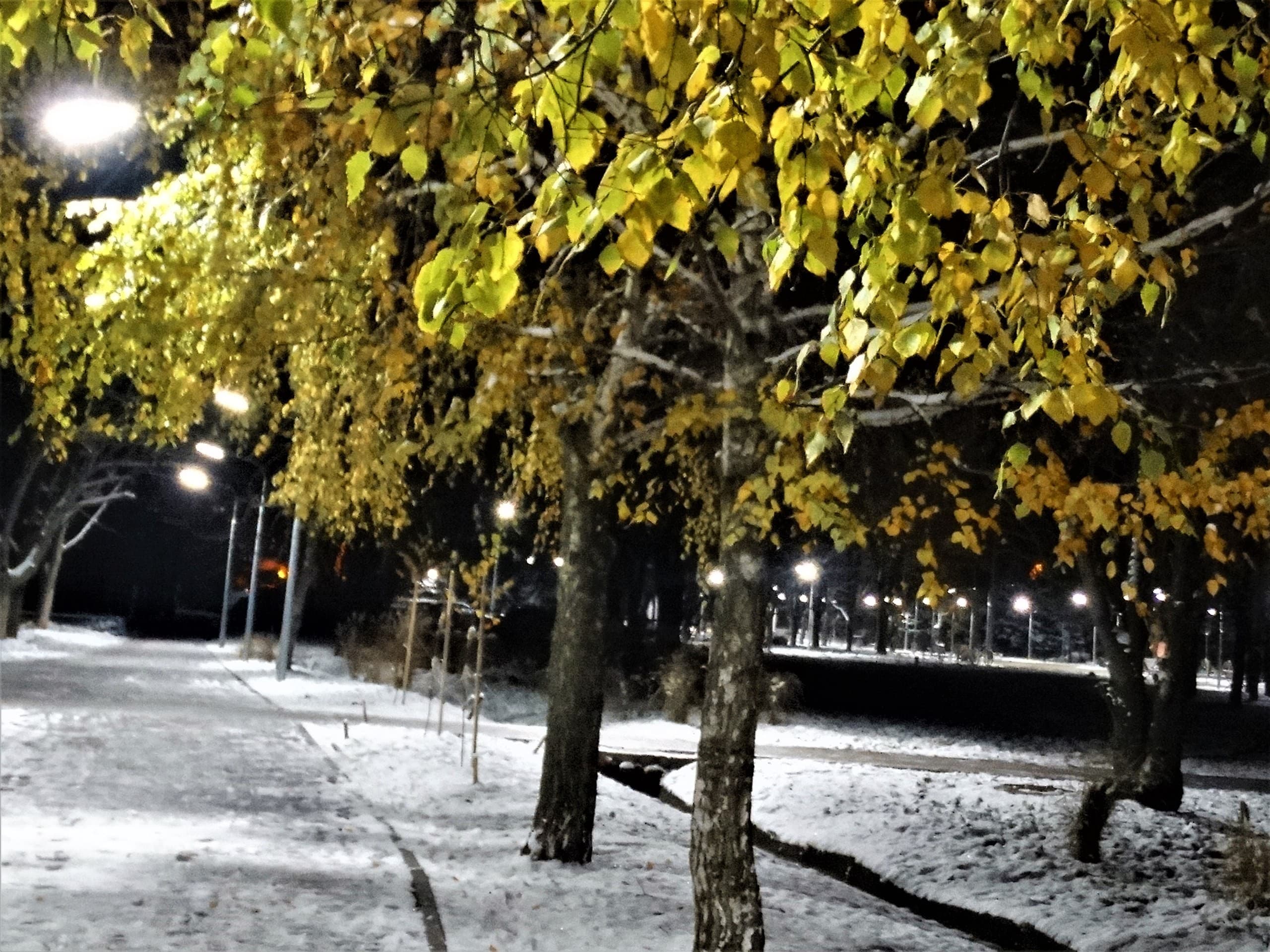 аллея