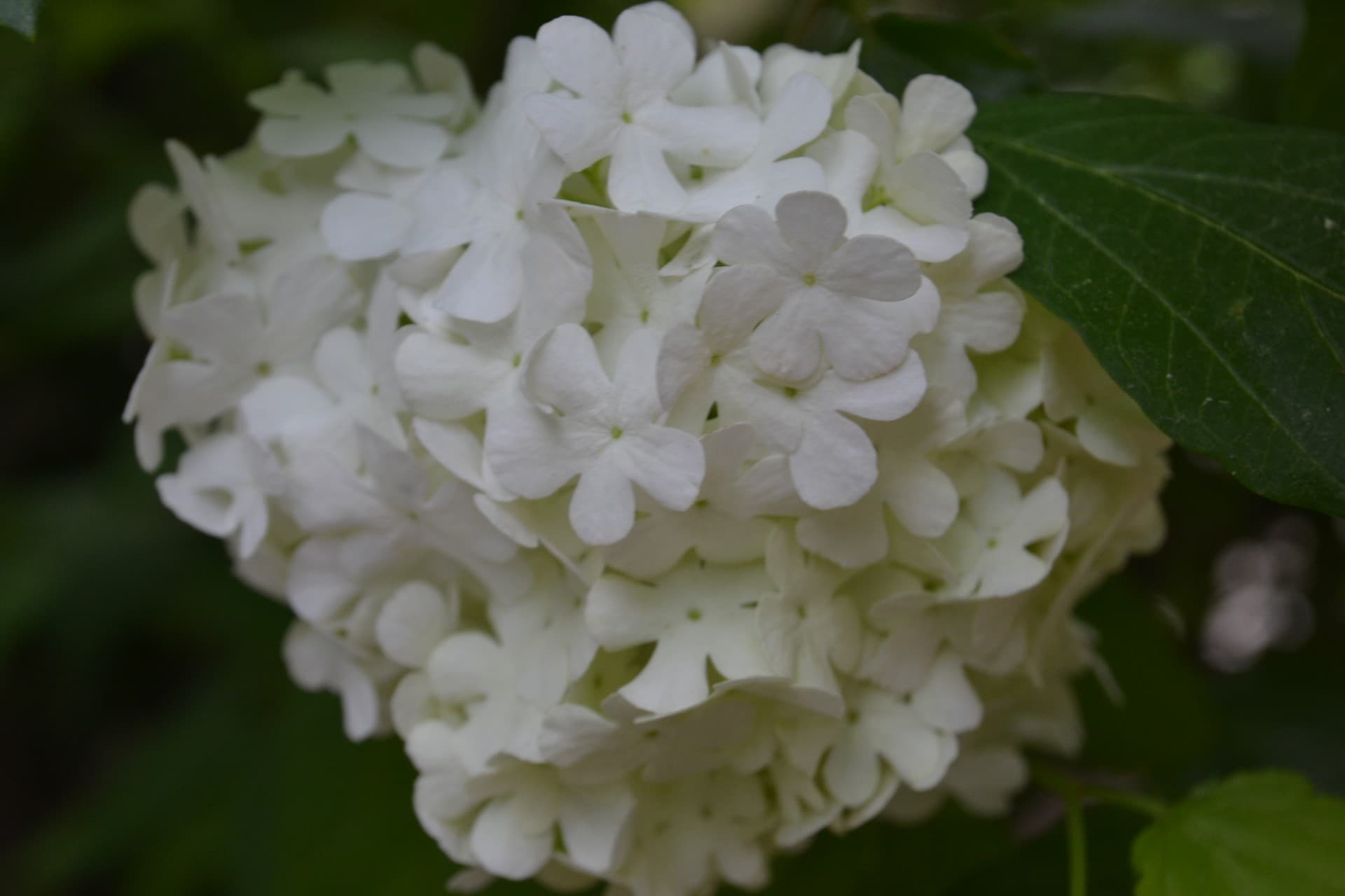 산이미지