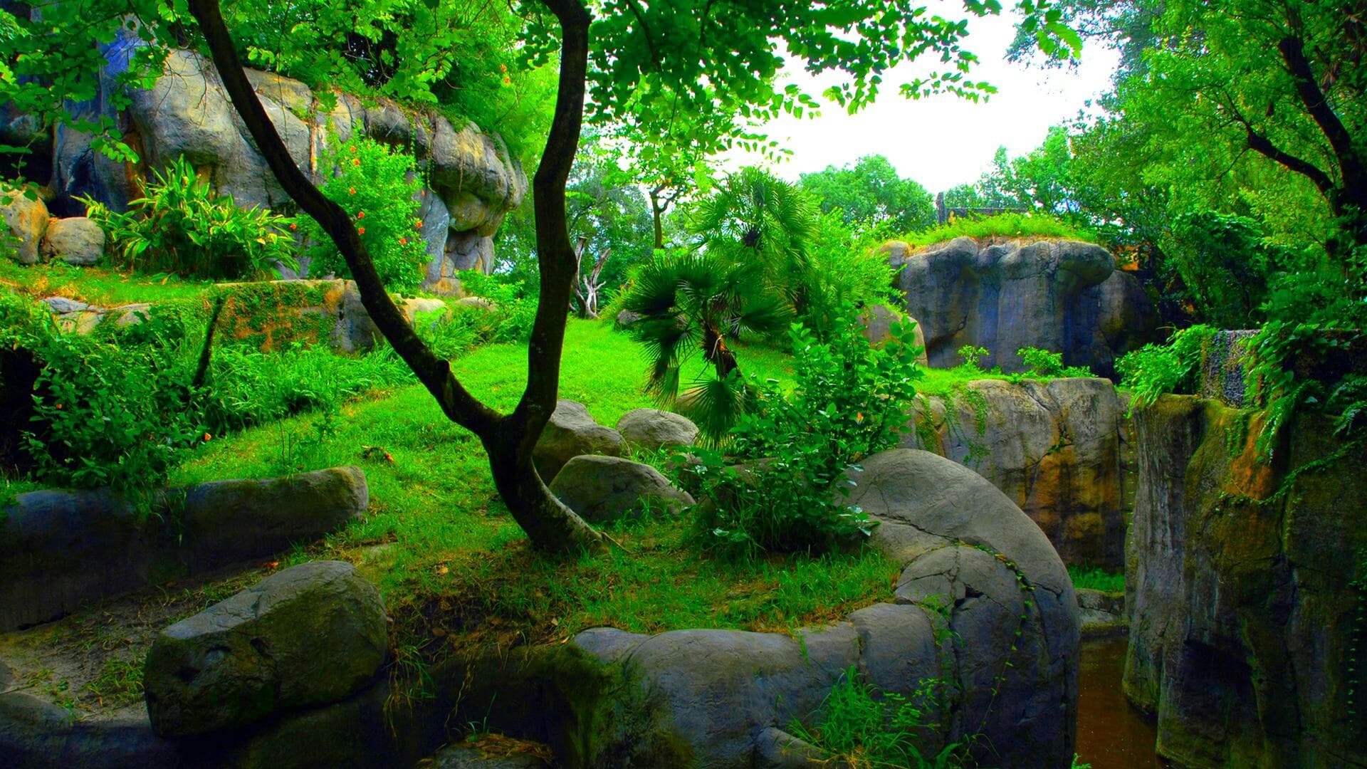 NATURE1