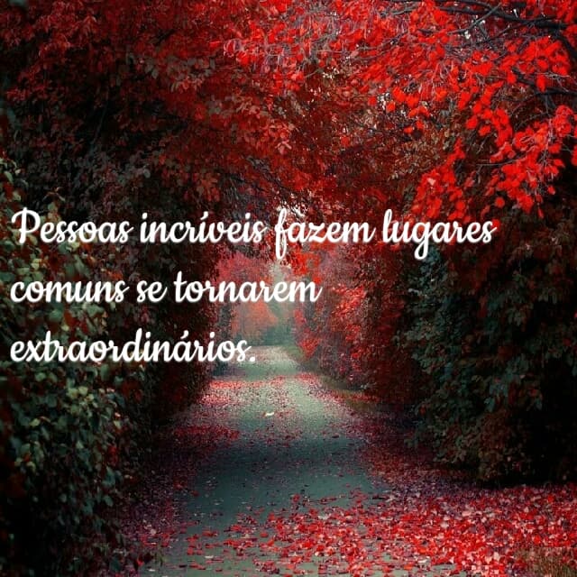 satisfação