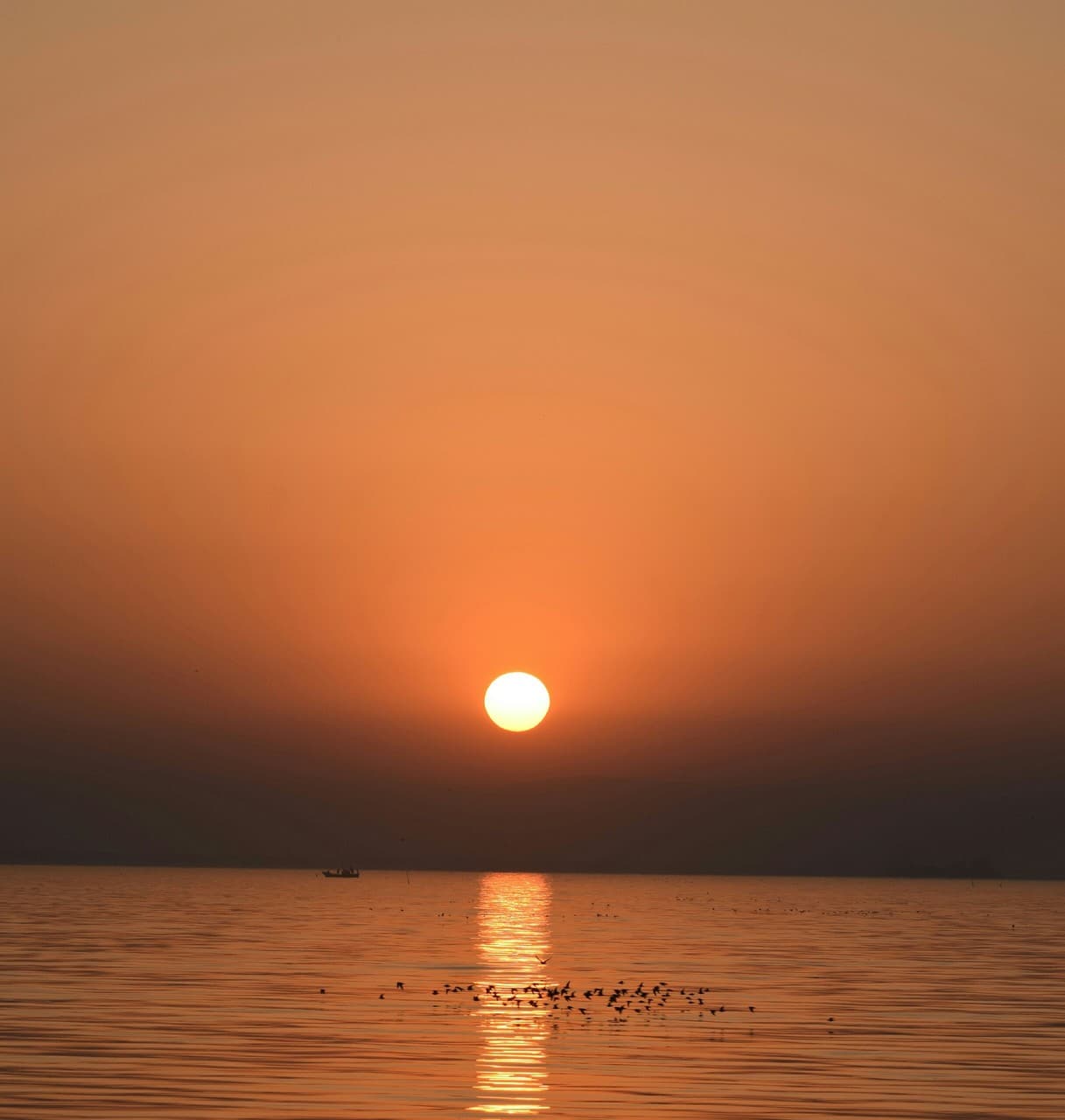 sunrise