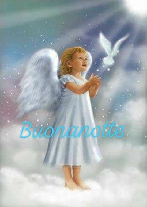 buona notte