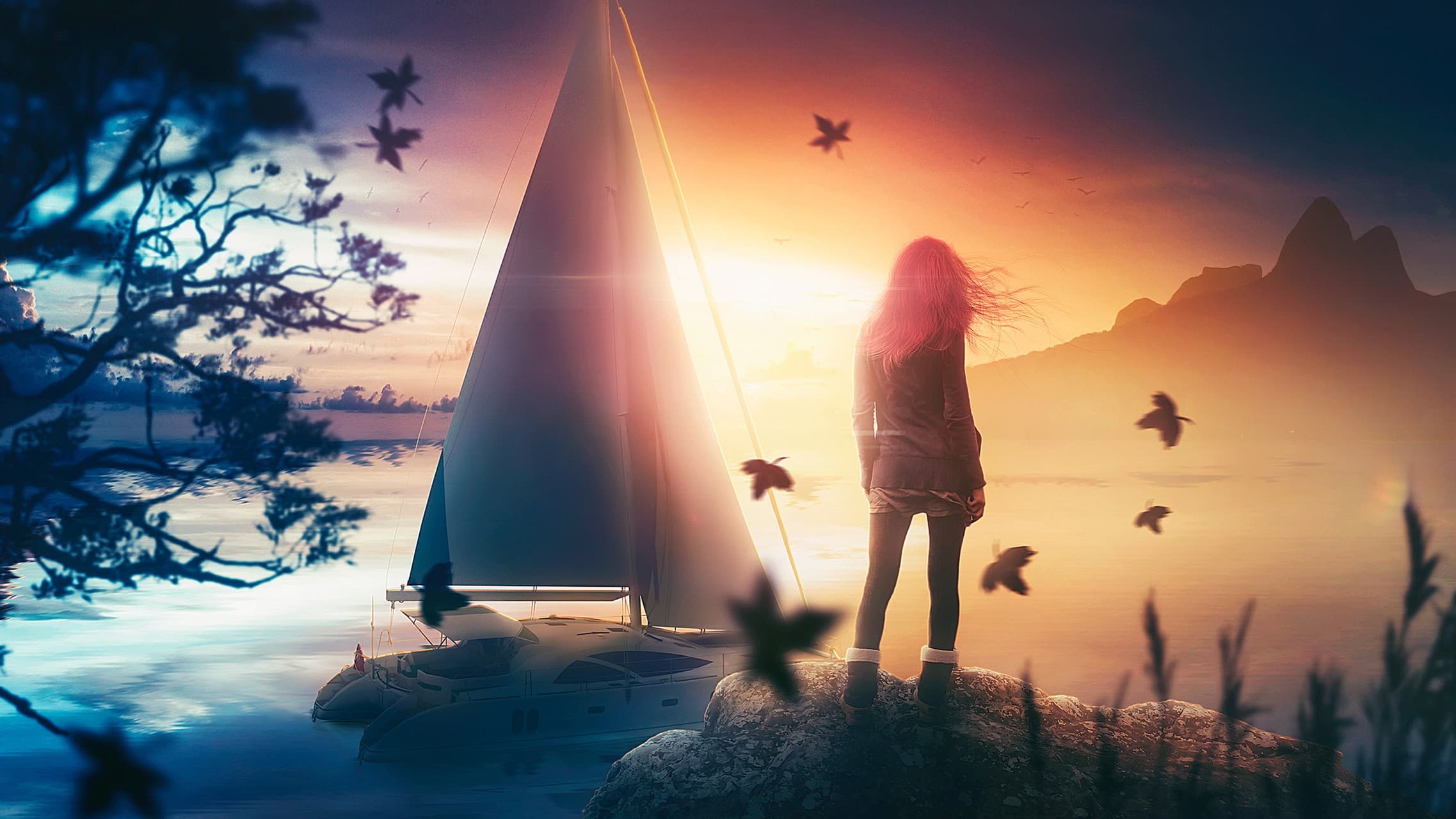 Fall Dream