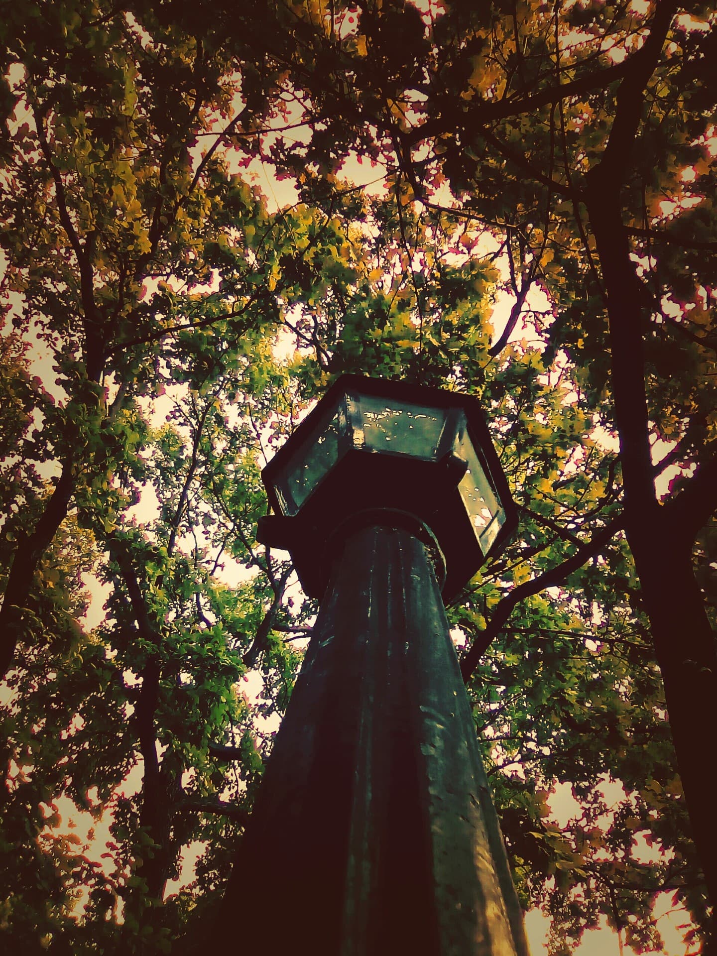 Light