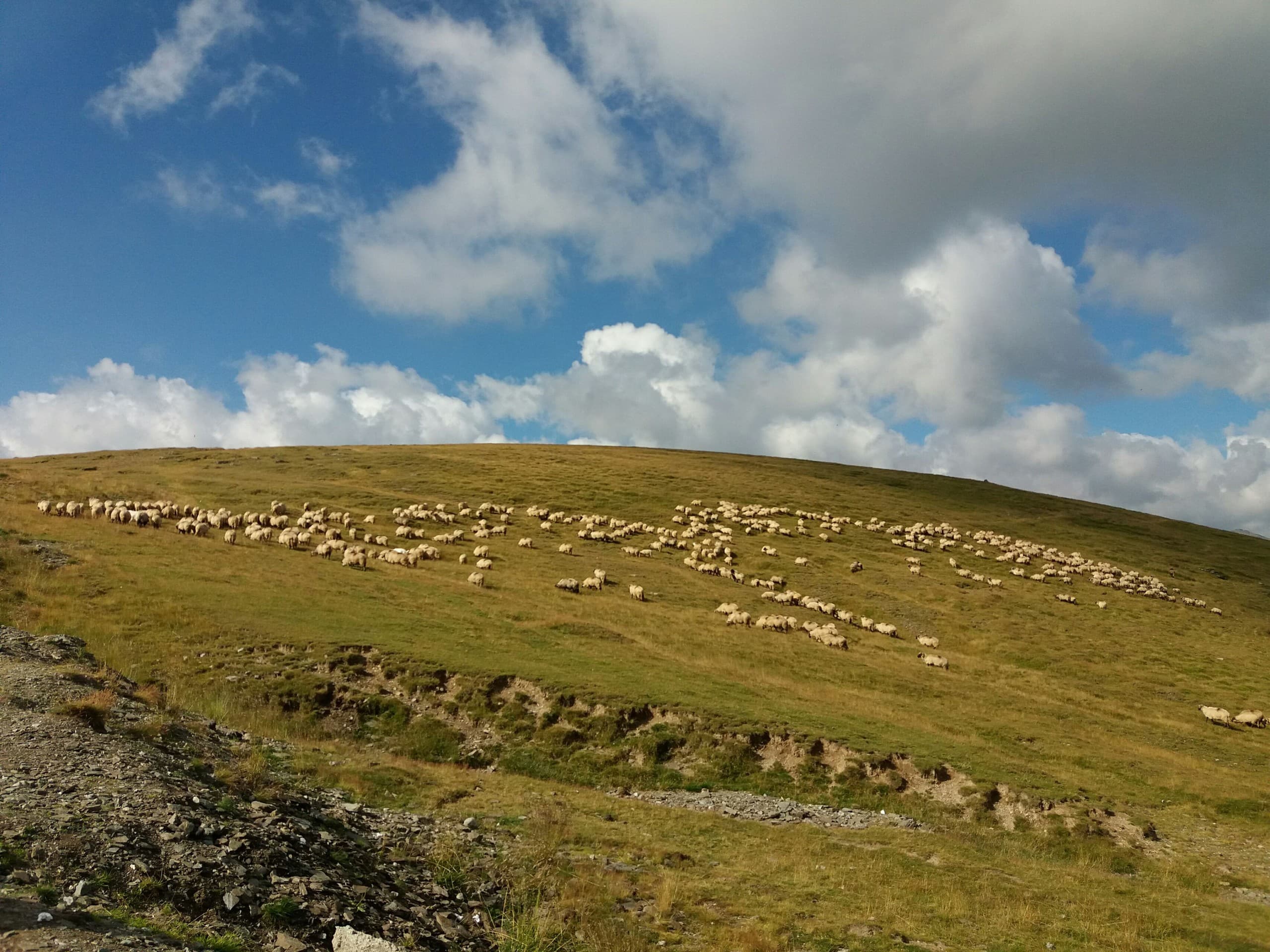 natural landscape