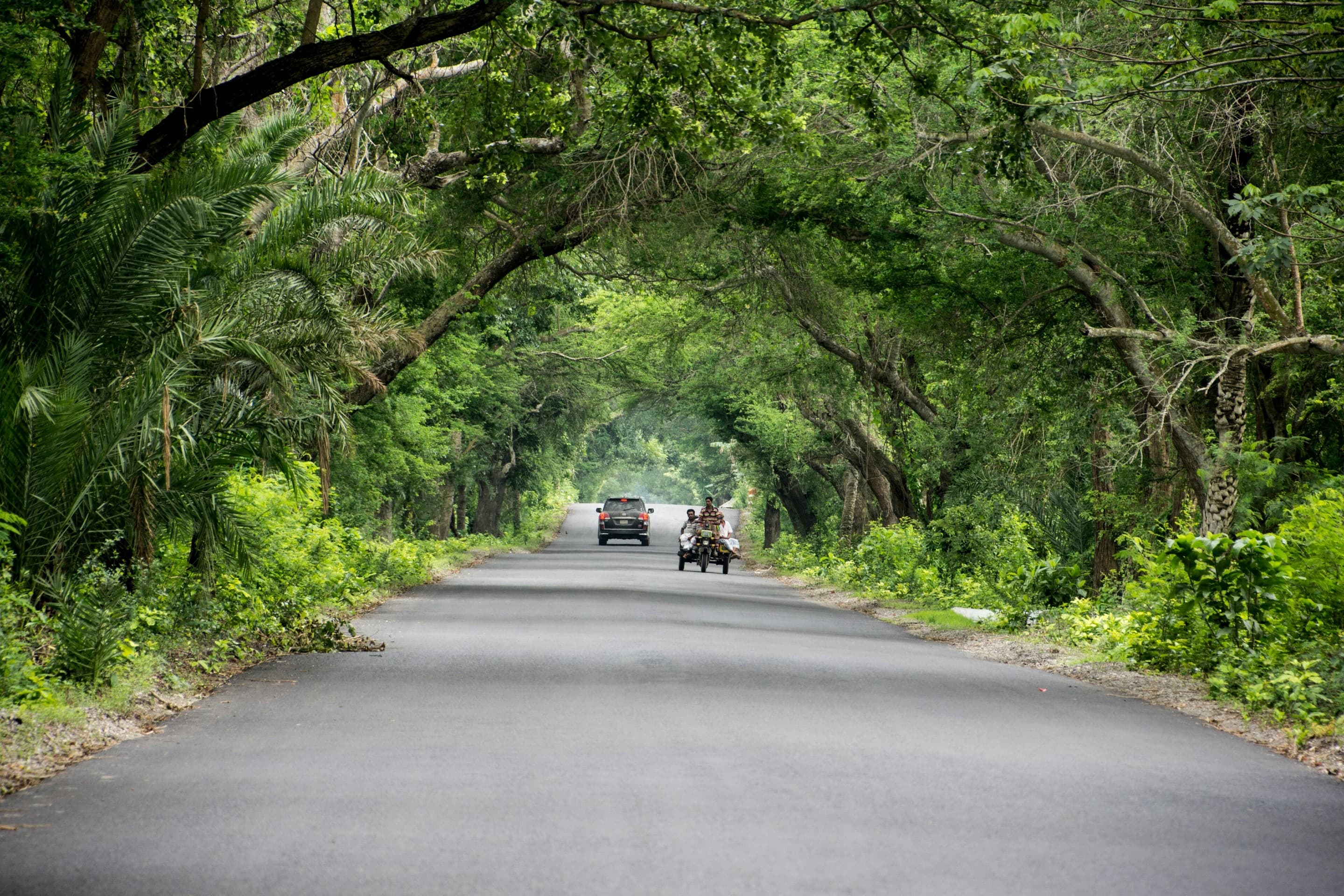 Indian roadway
