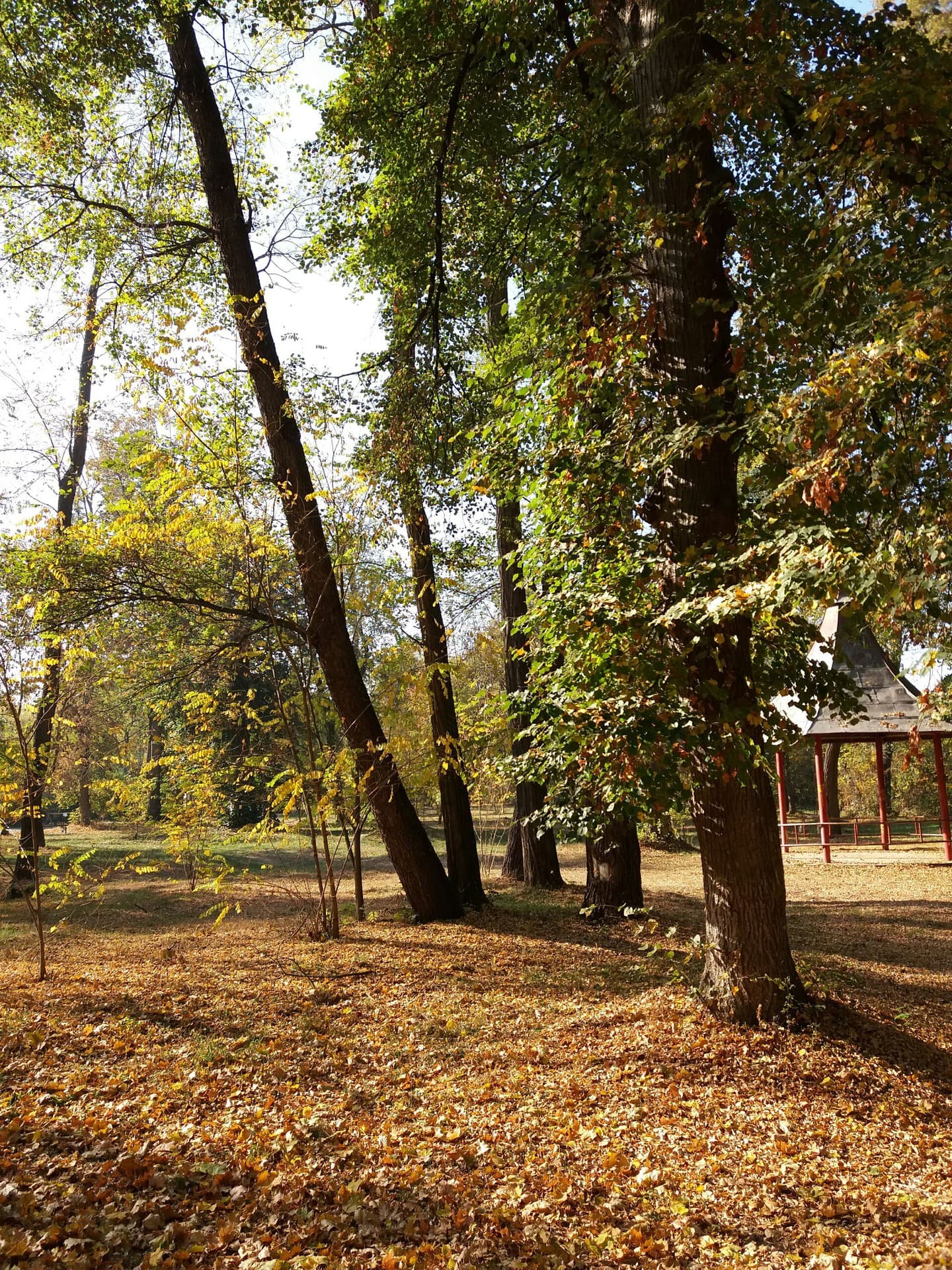 autumn