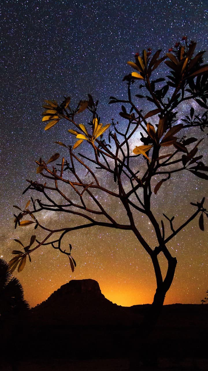 ⭐