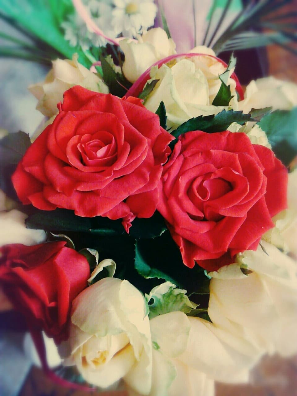 rose