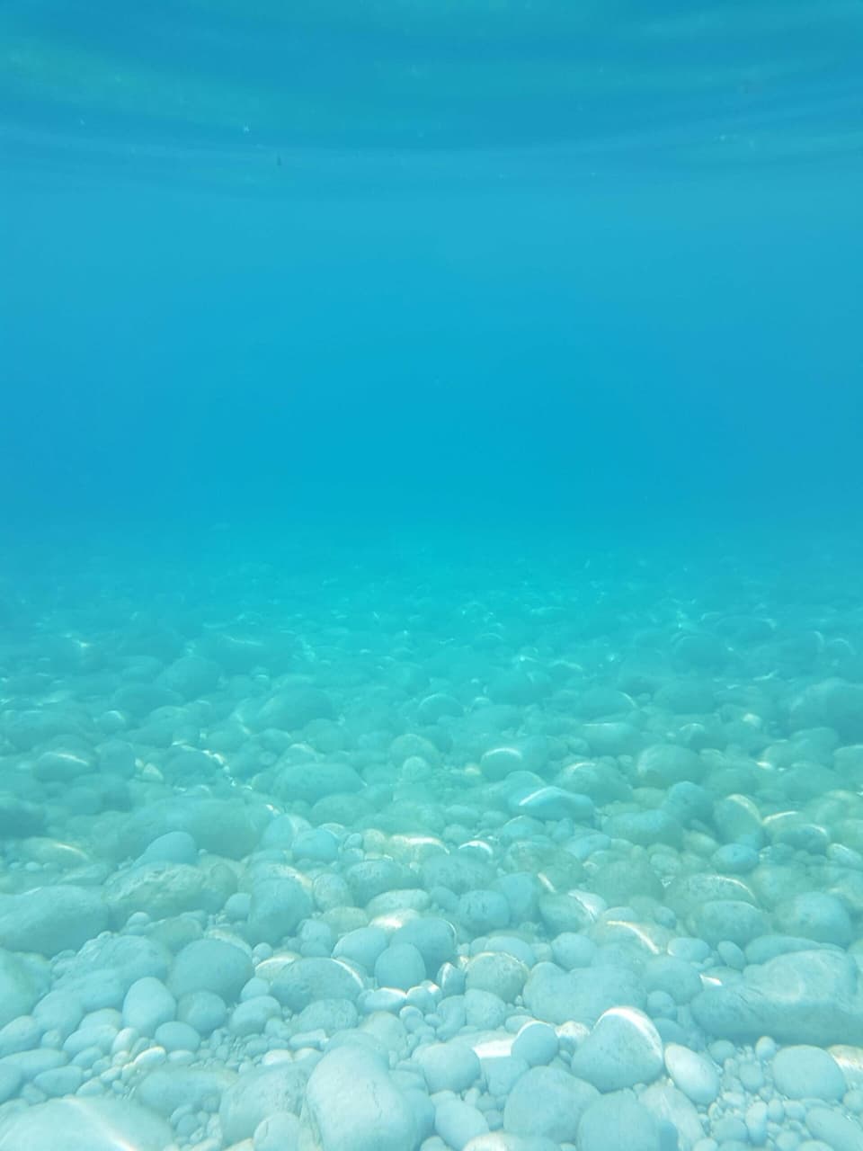 underwater