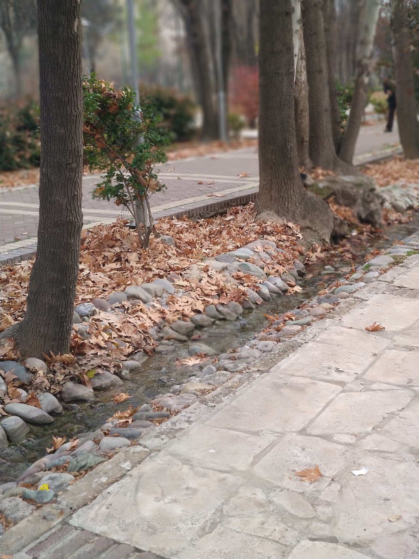 autumn