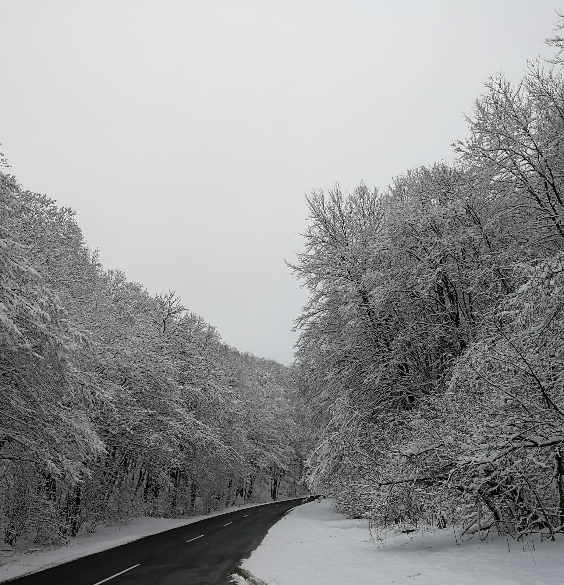Winter