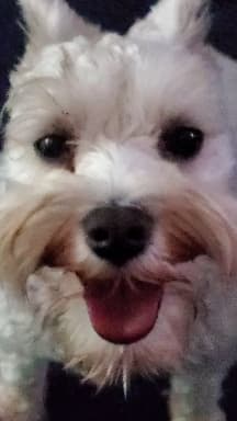 Rosie