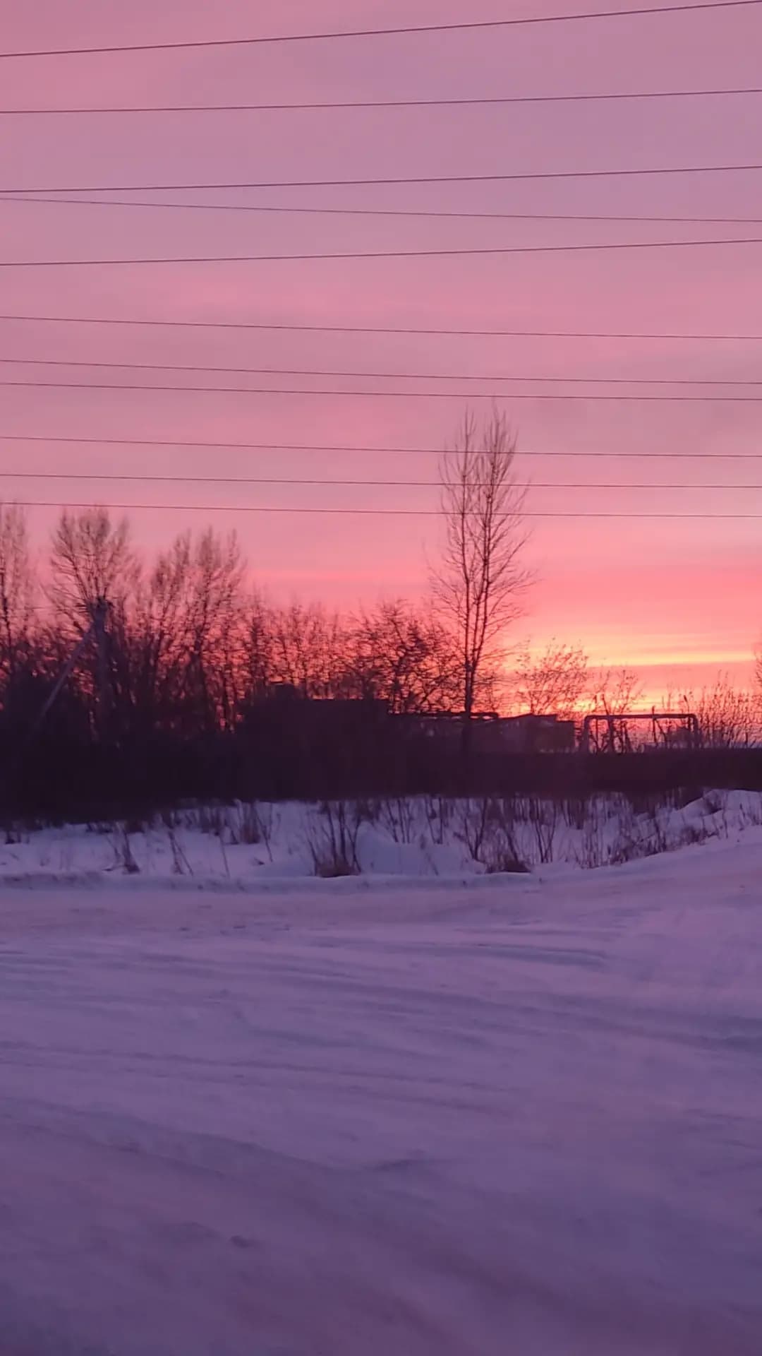 winter