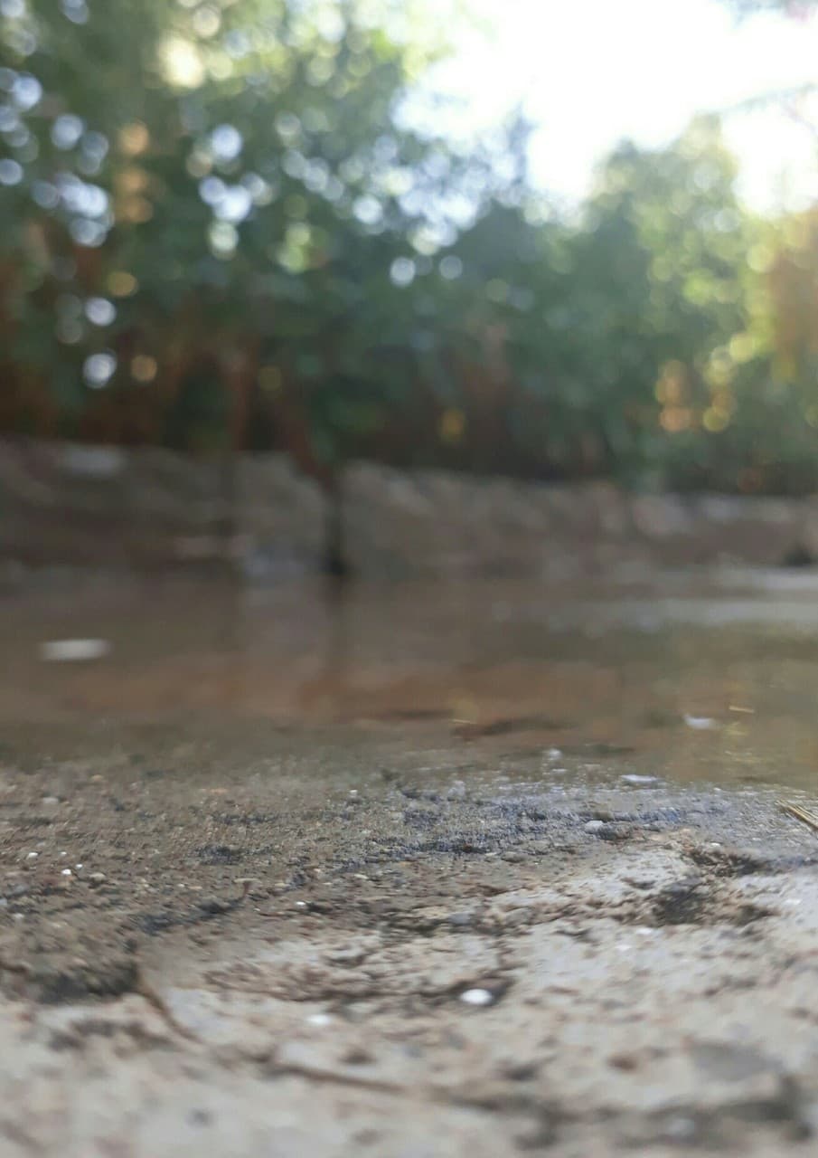 #ground #water #green