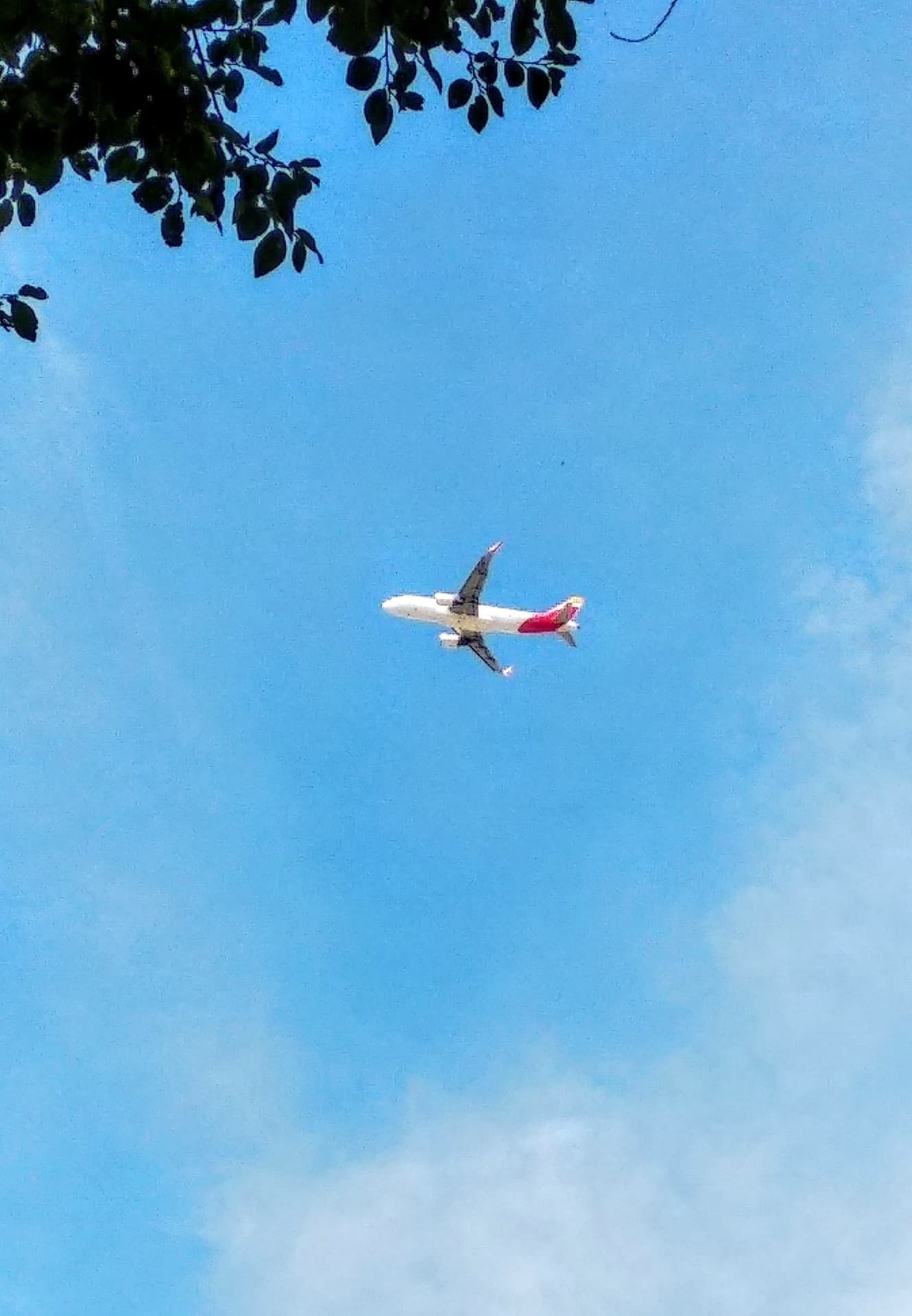Volando