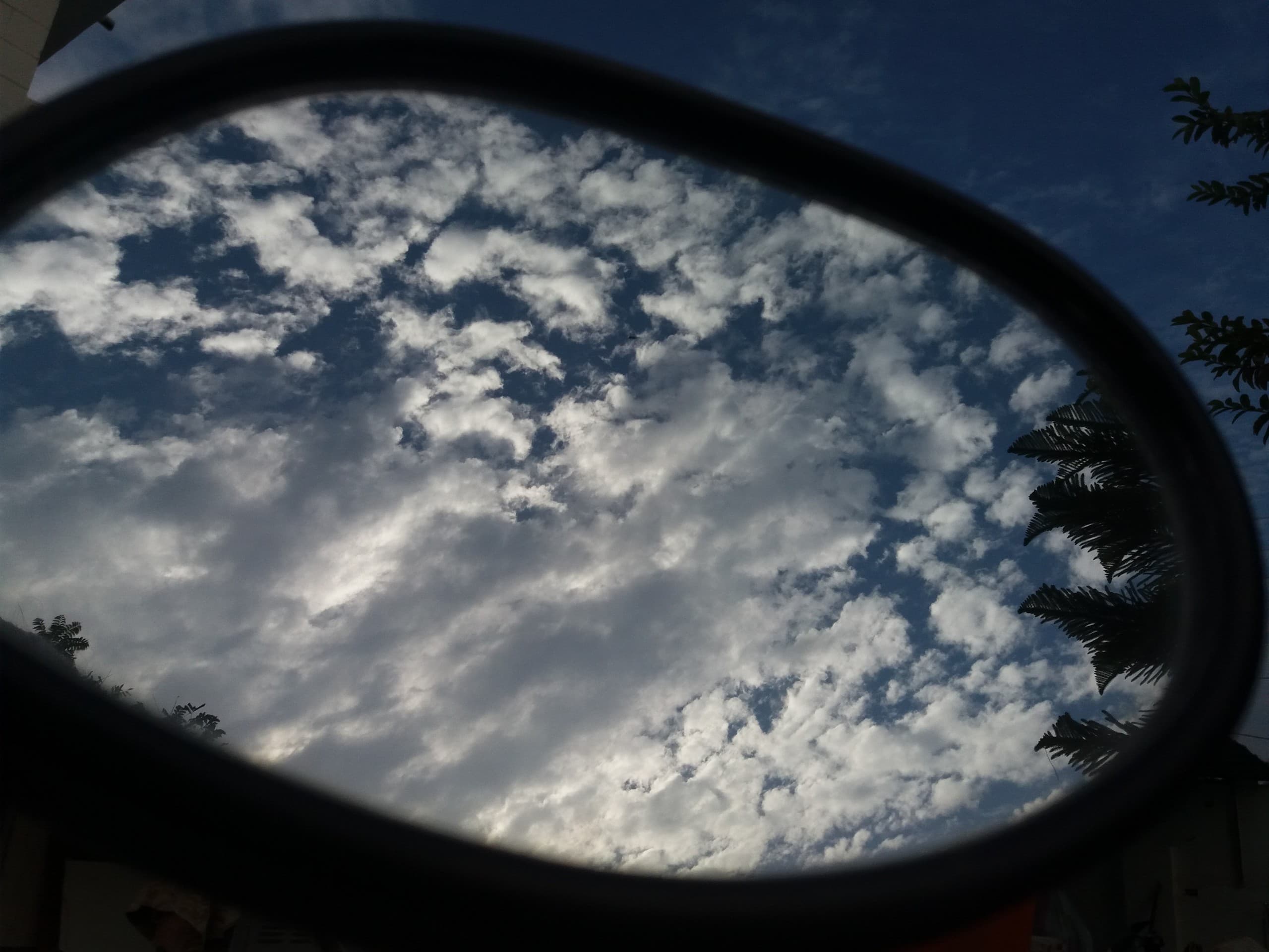 The Mirror beauty...