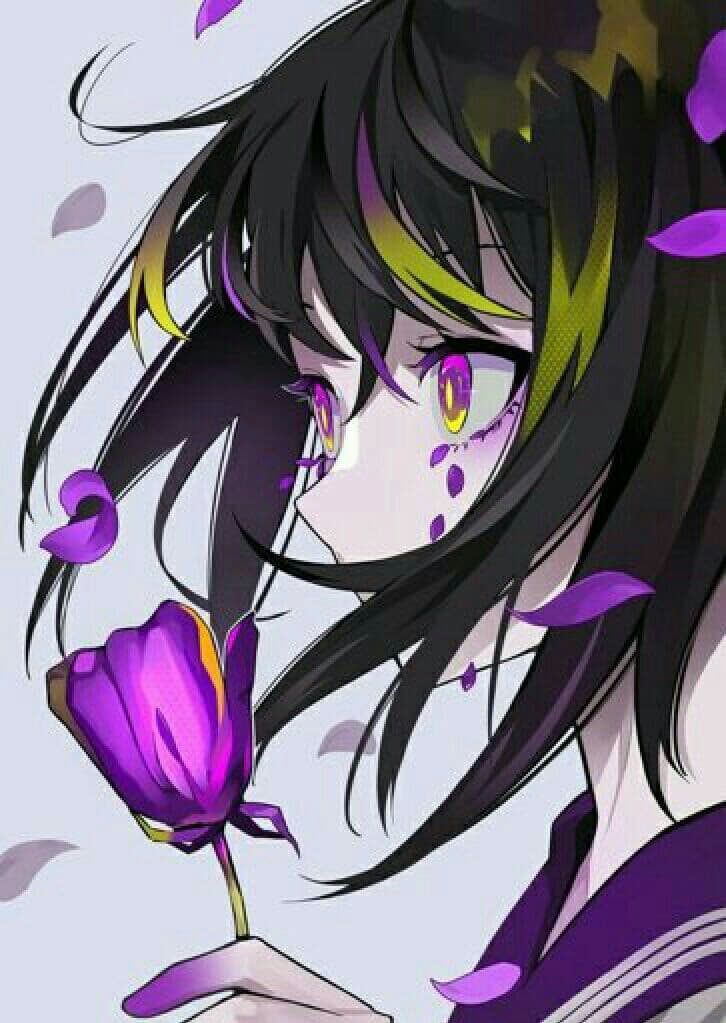 Colour